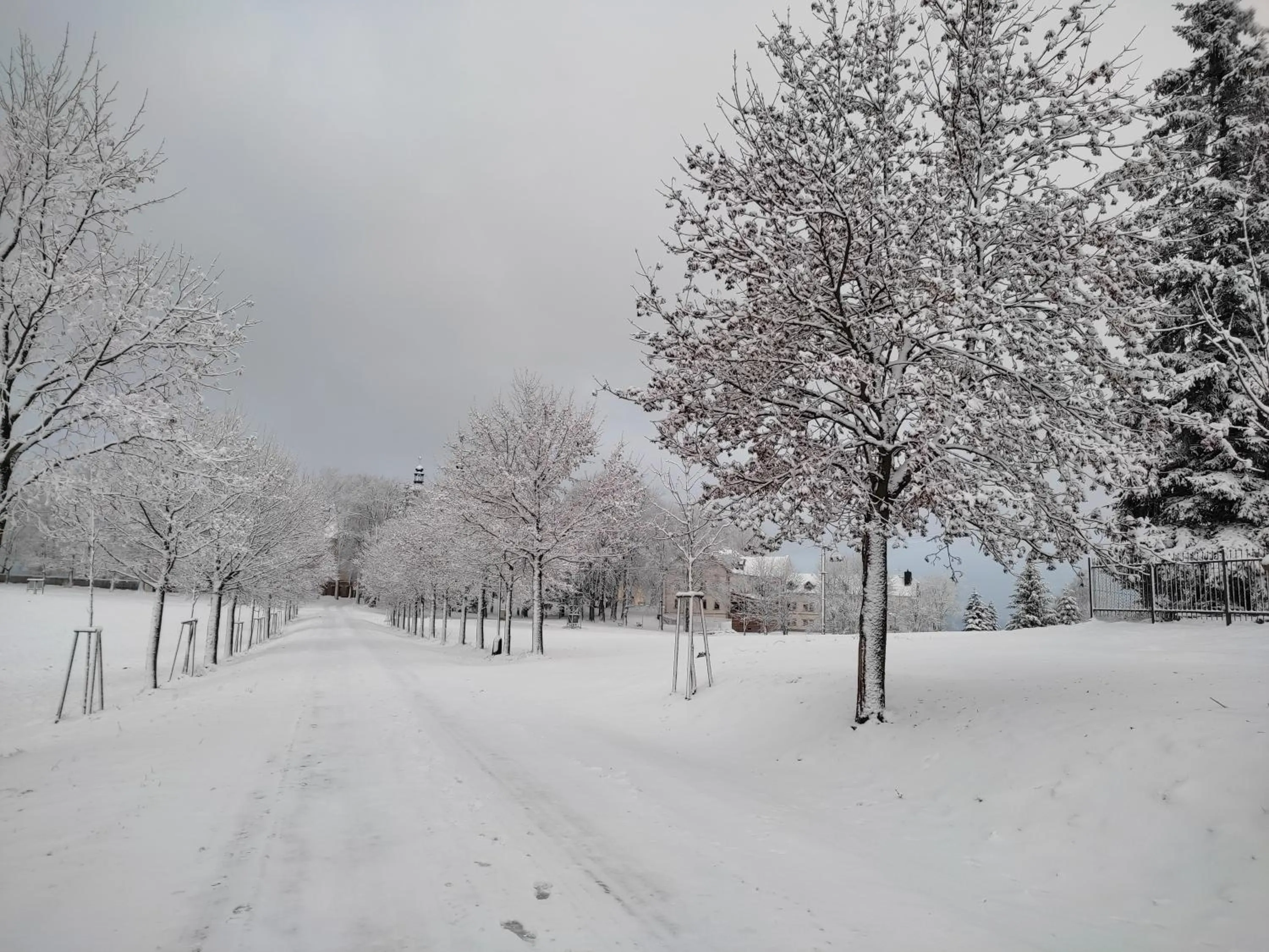 Natural landscape in Hotel Poutní Dům