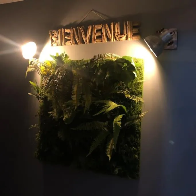 Le Rocher Appart Hôtel