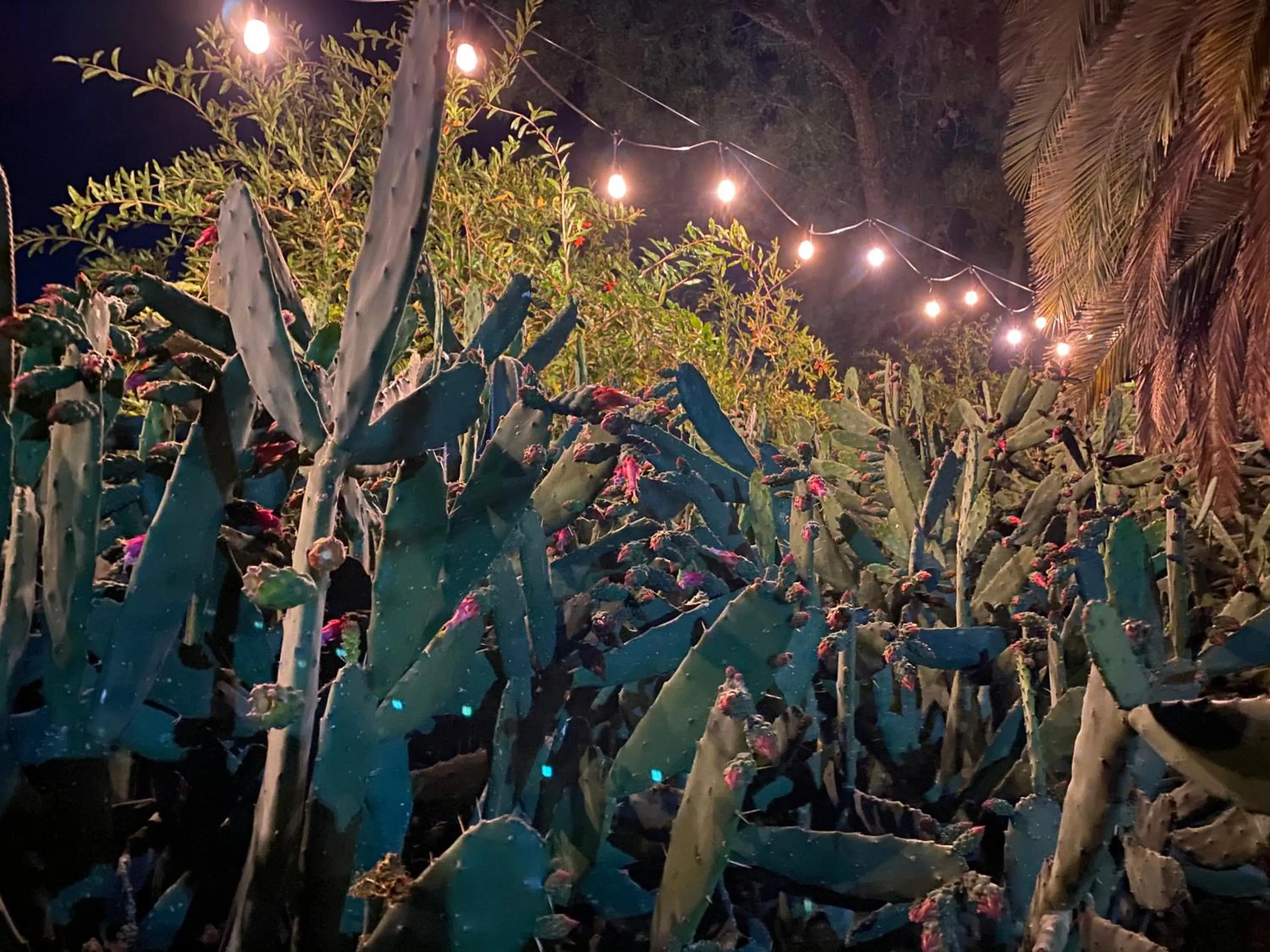 Night in Posada Colibri - Hotel & Spa