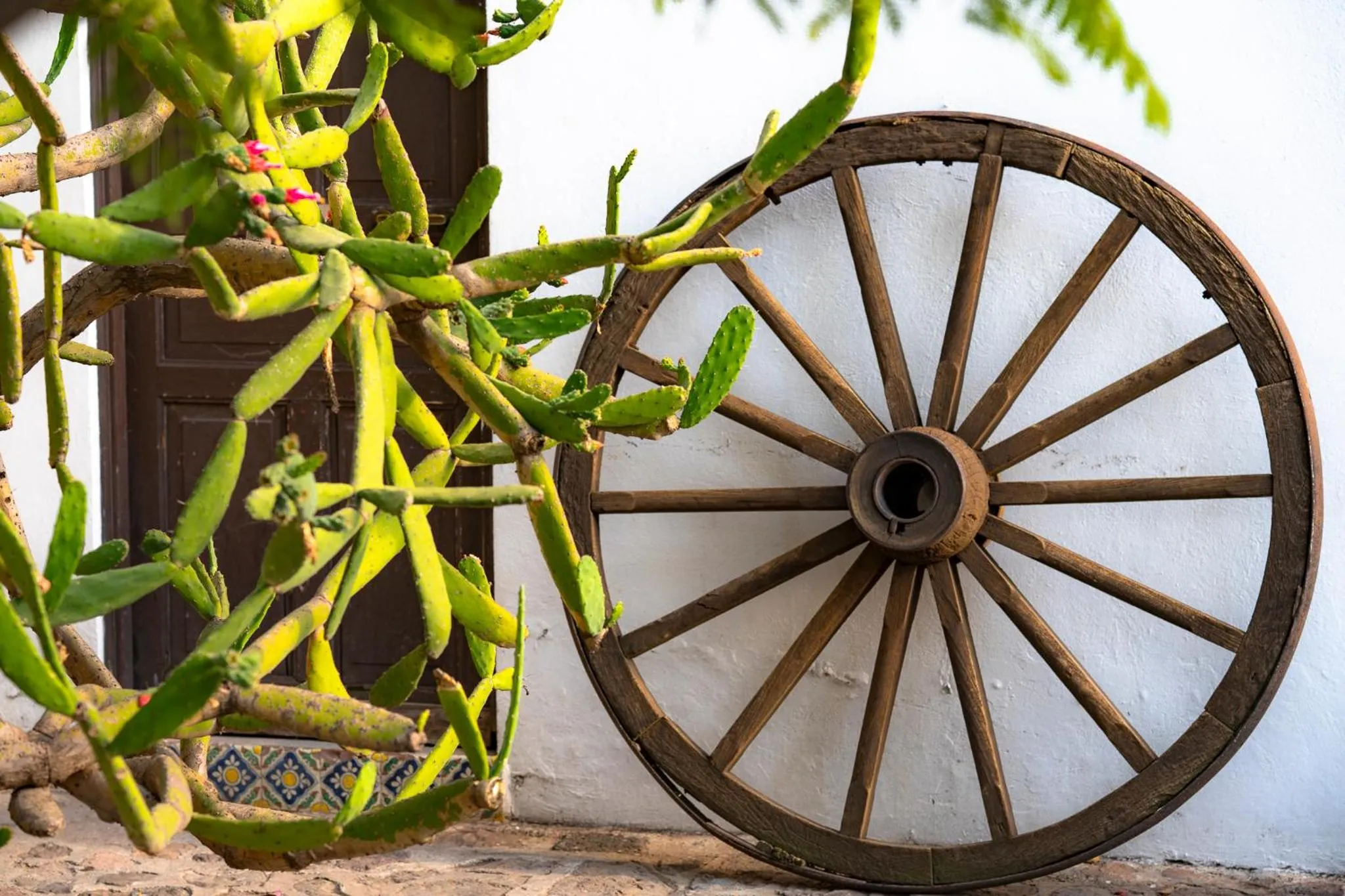 Patio in Posada Colibri - Hotel & Spa
