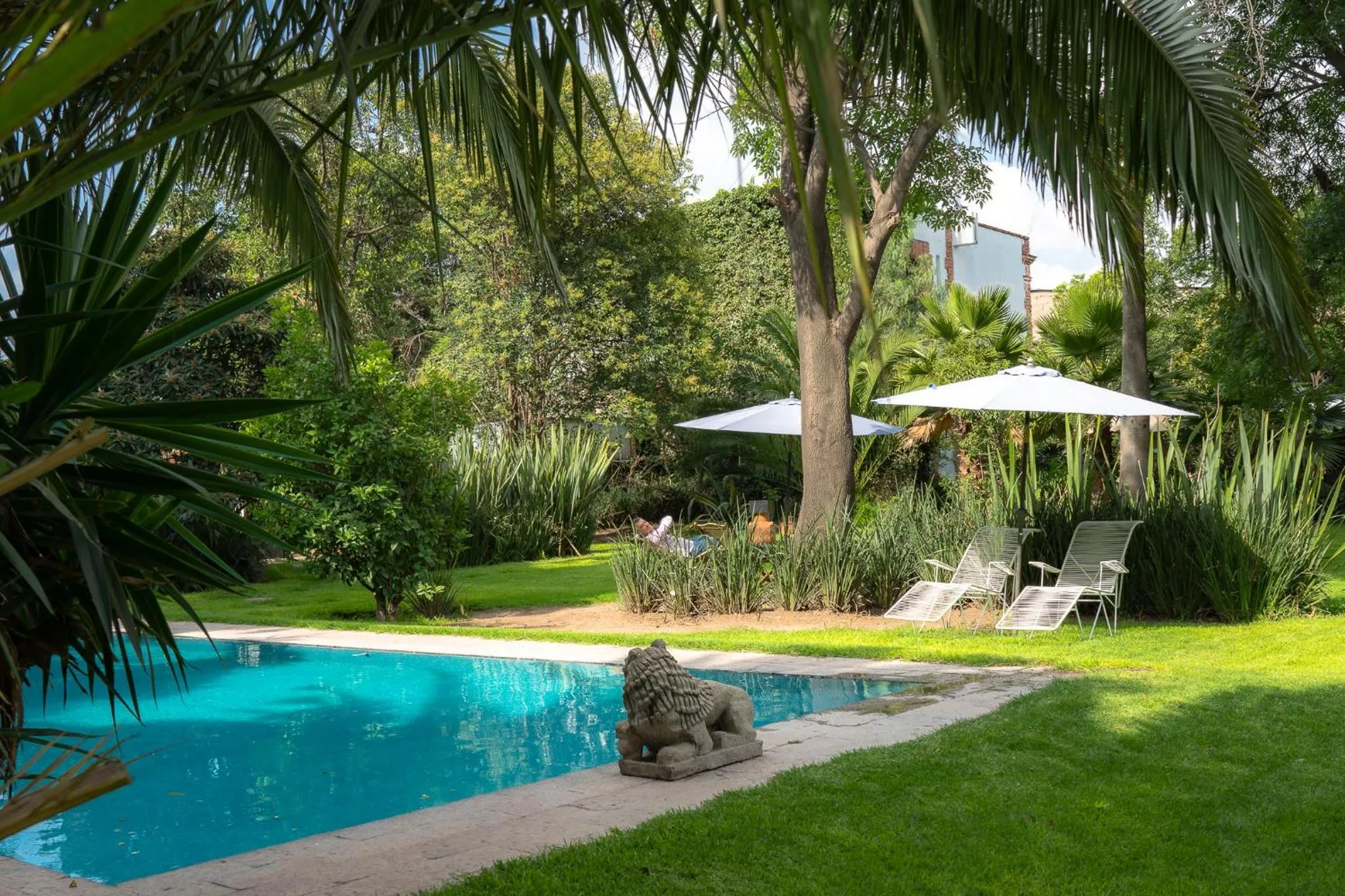 Pool view in Posada Colibri - Hotel & Spa