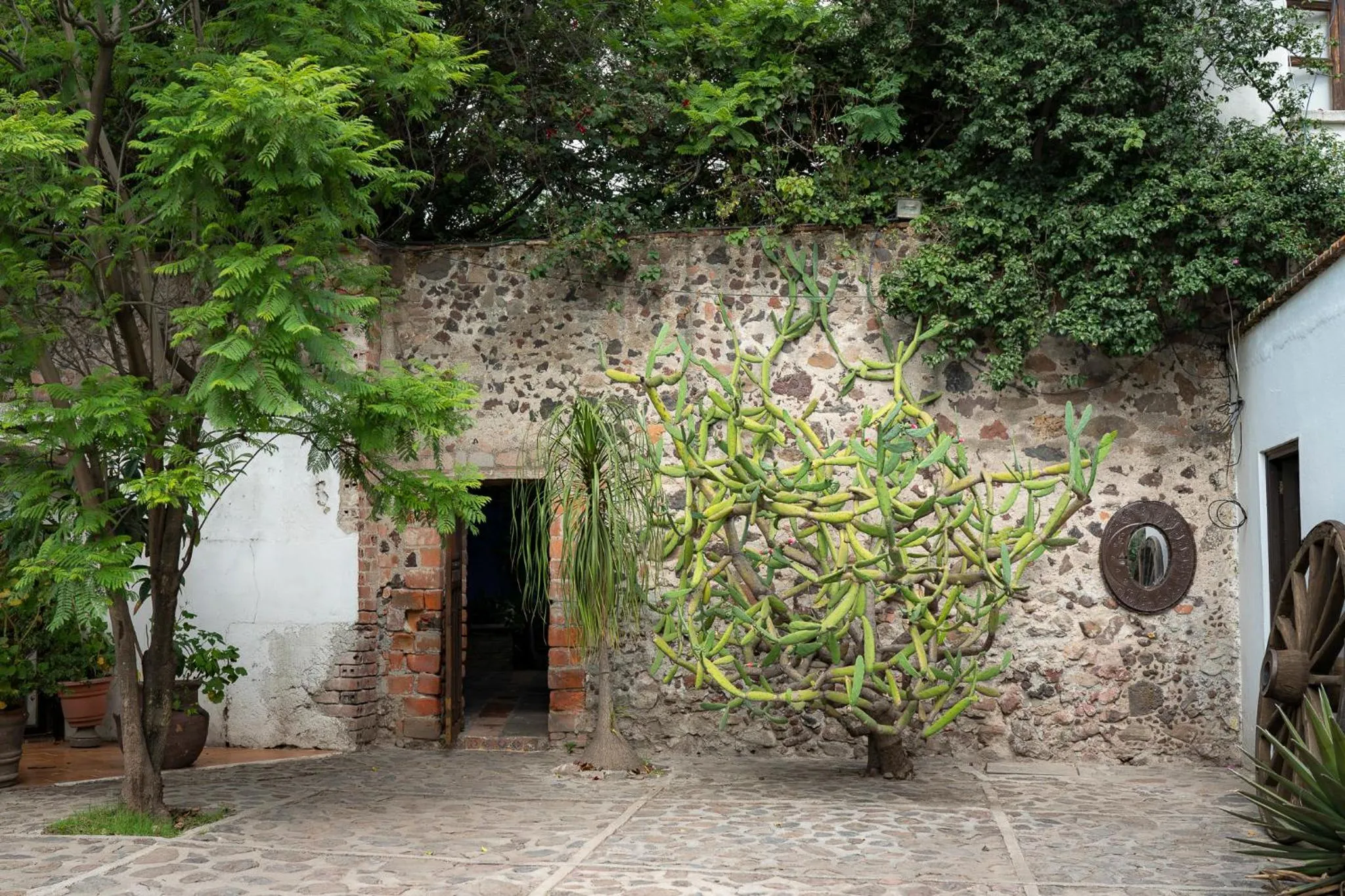Patio in Posada Colibri - Hotel & Spa