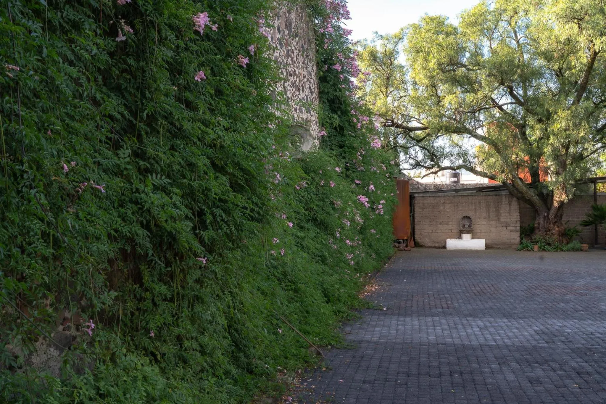 Parking in Posada Colibri - Hotel & Spa