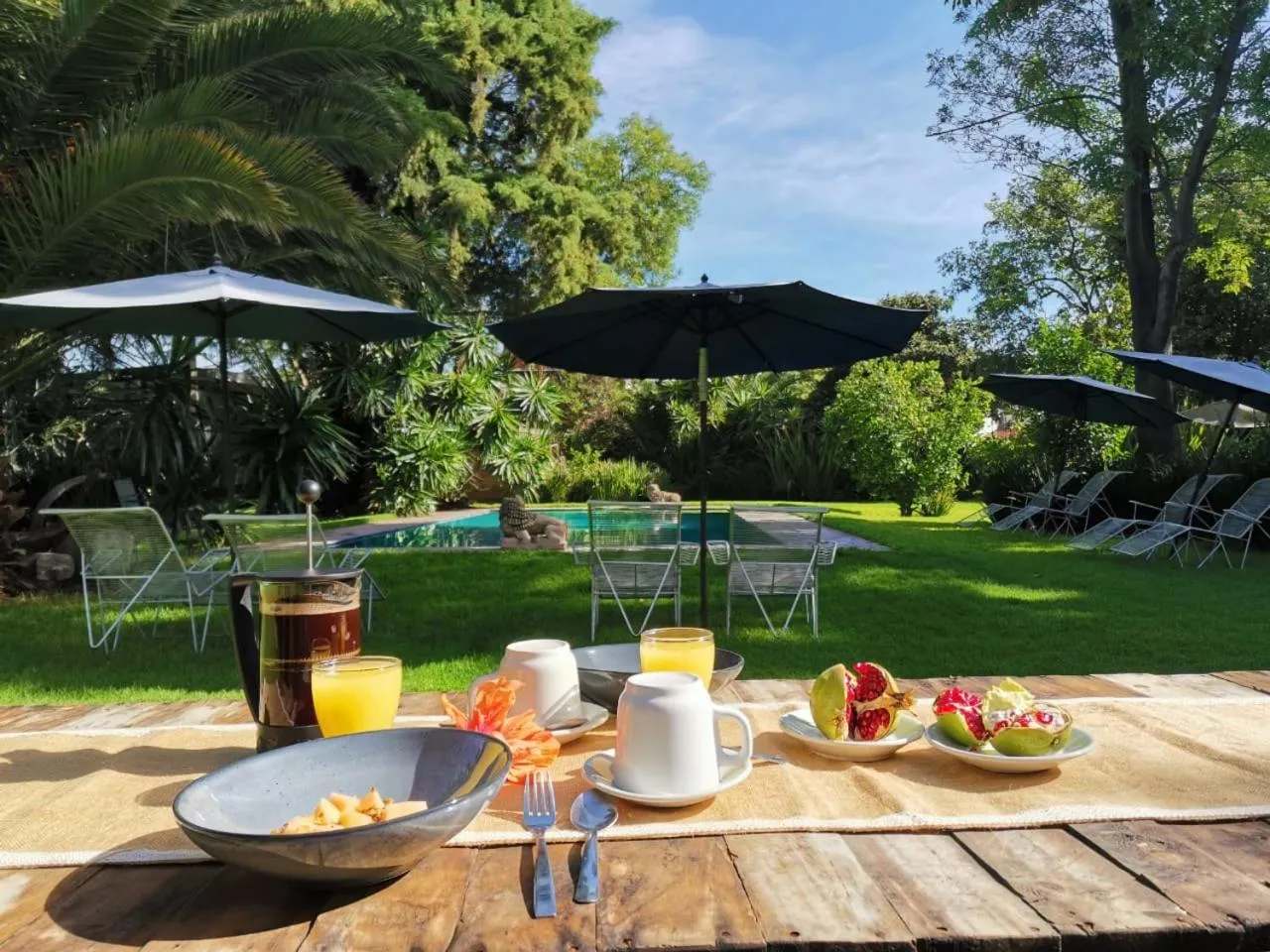 Restaurant/places to eat in Posada Colibri - Hotel & Spa