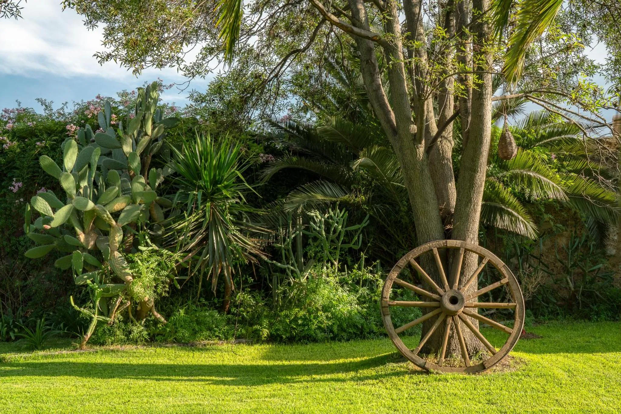 Spring in Posada Colibri - Hotel & Spa