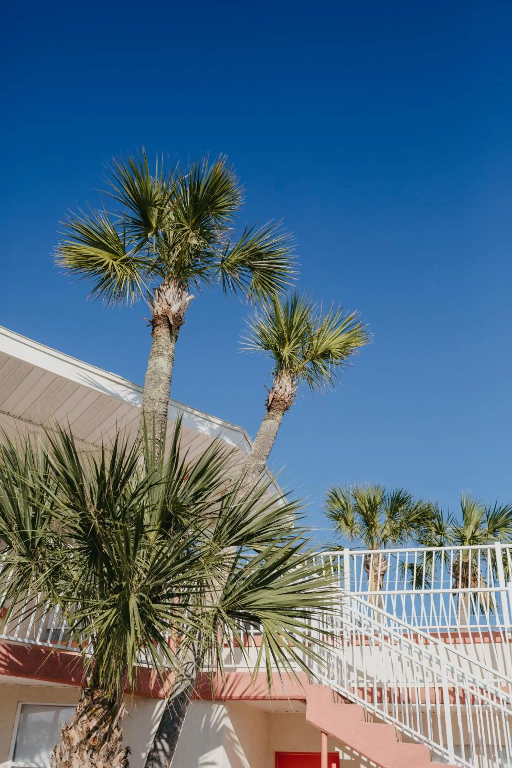 Property building in The Local - St. Augustine