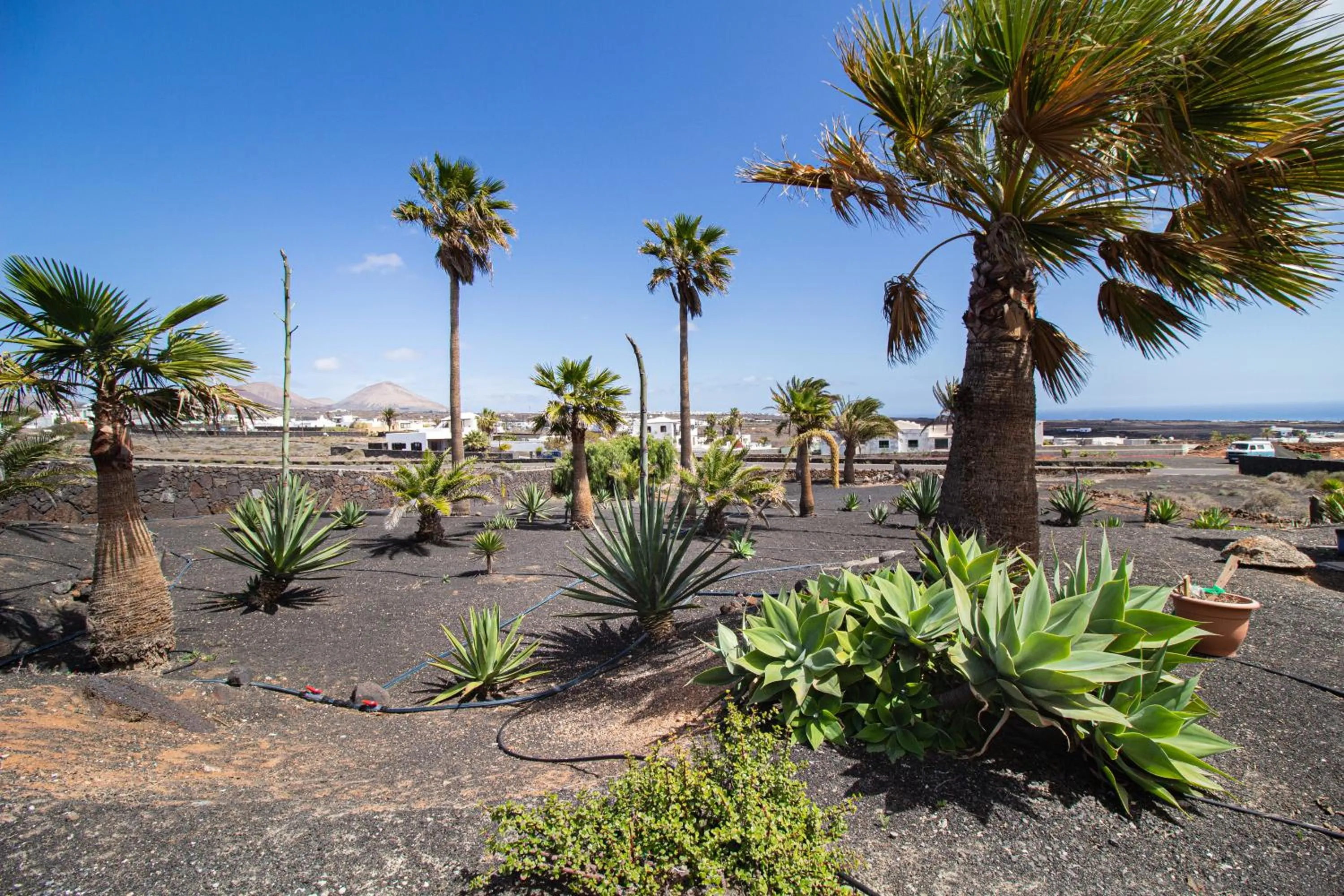 Garden in Casa Serena 10 Boutique- Adults Only-Breakfast Included