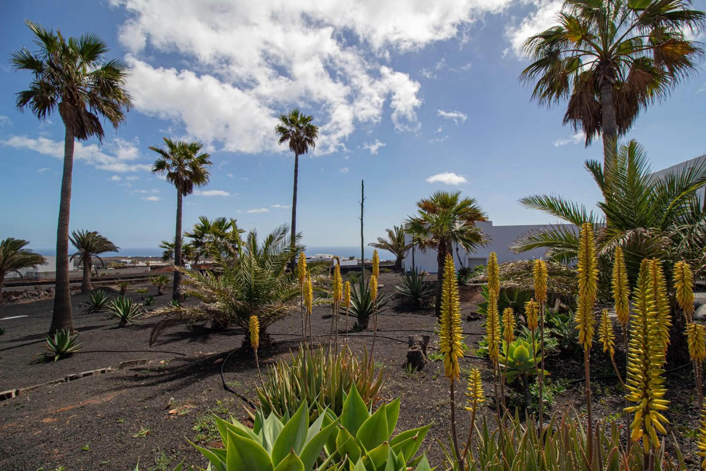 Garden in Casa Serena 10 Boutique- Adults Only-Breakfast Included