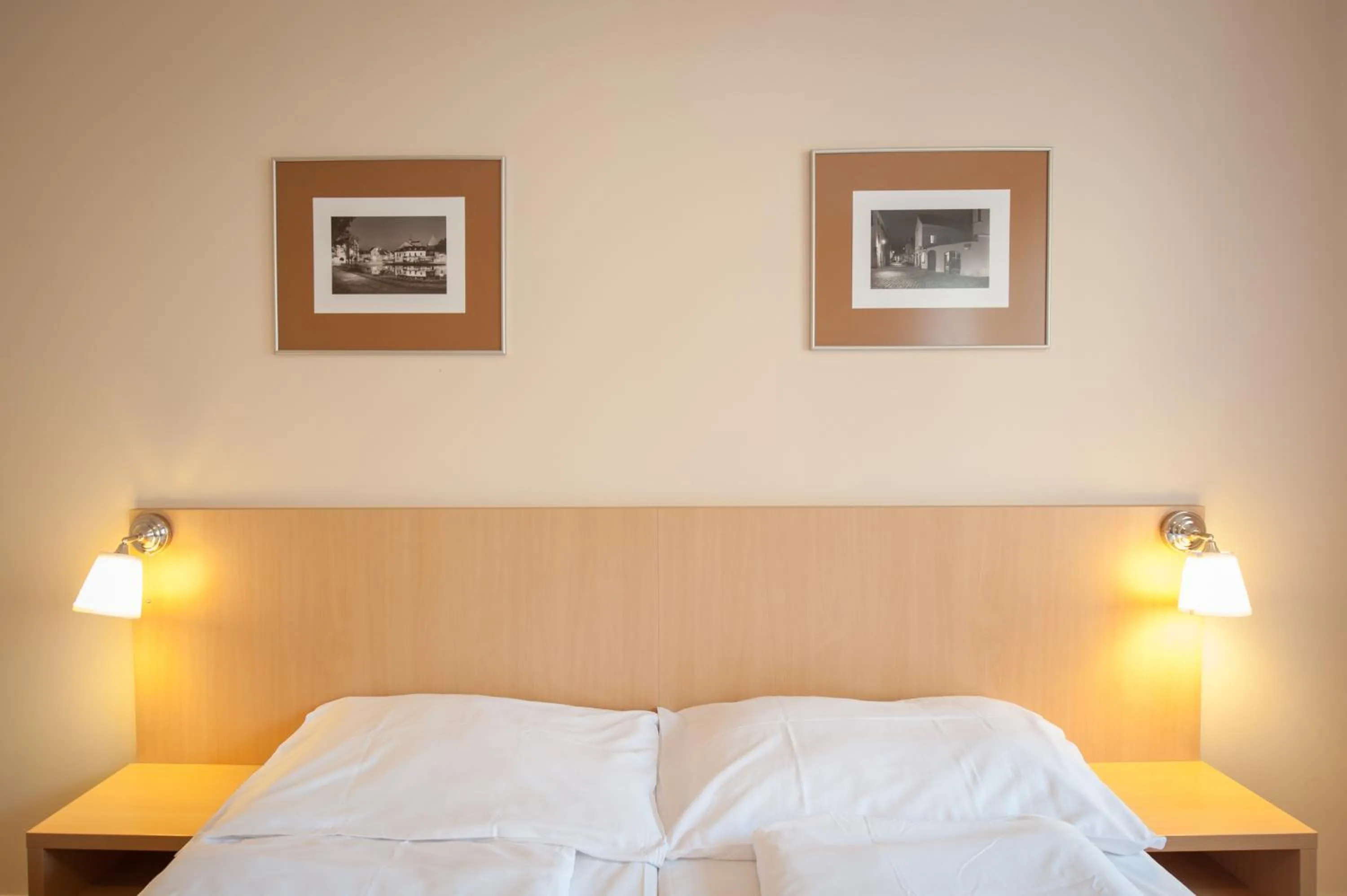 Bedroom, Bed in Hotel v Centru