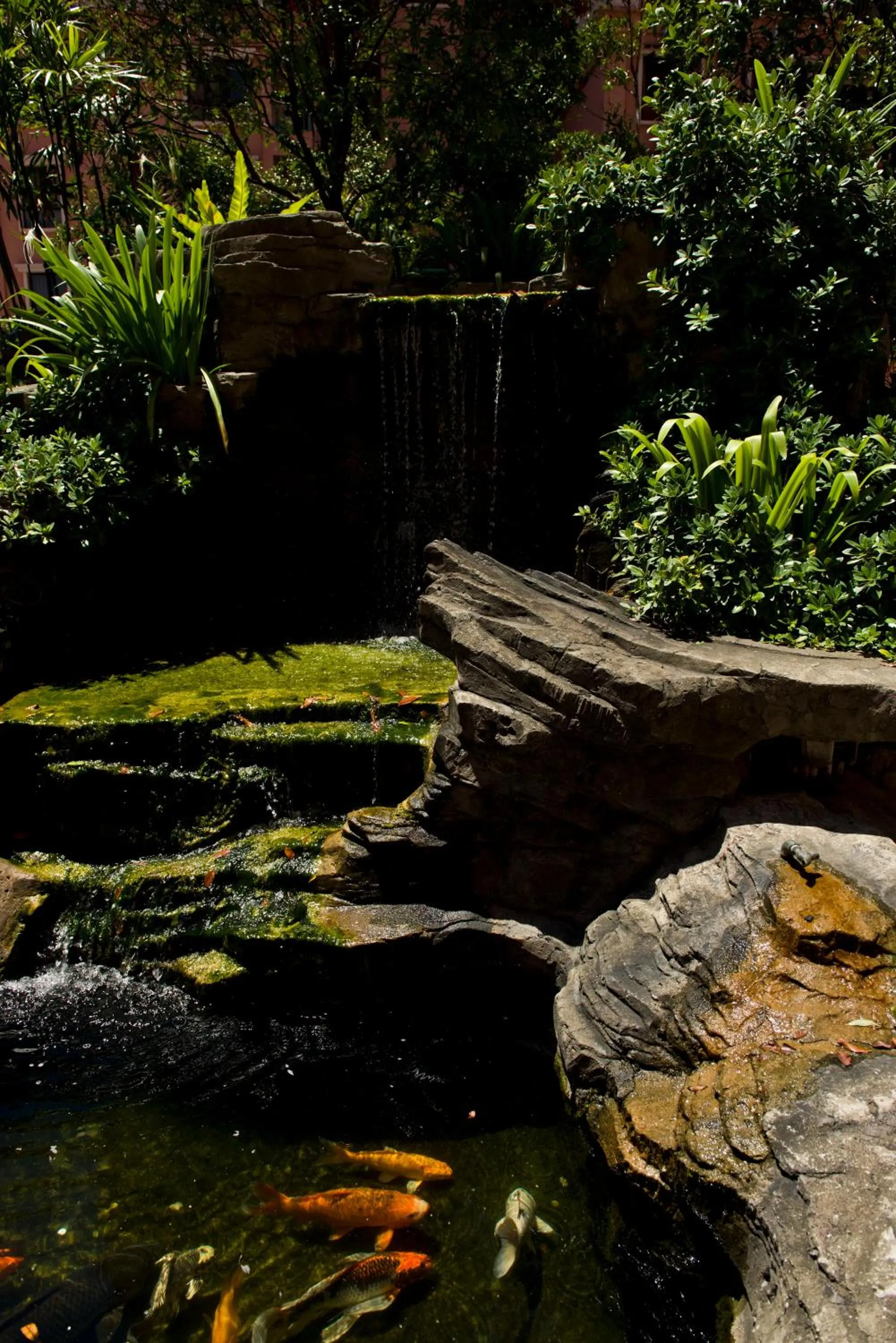 Day in Nana Marina Court