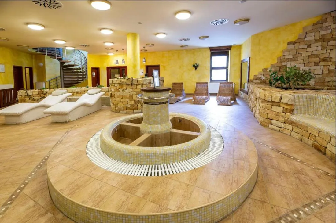 Spa Hotel Bily Horec