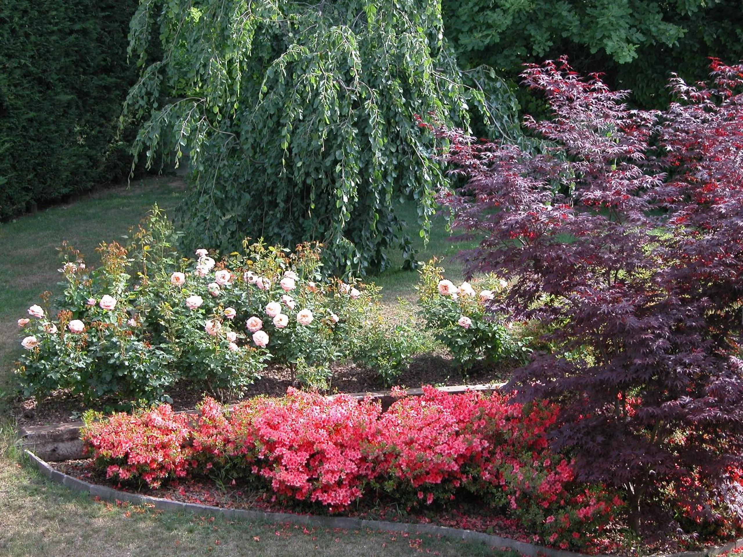 Garden in Casa Ceruti