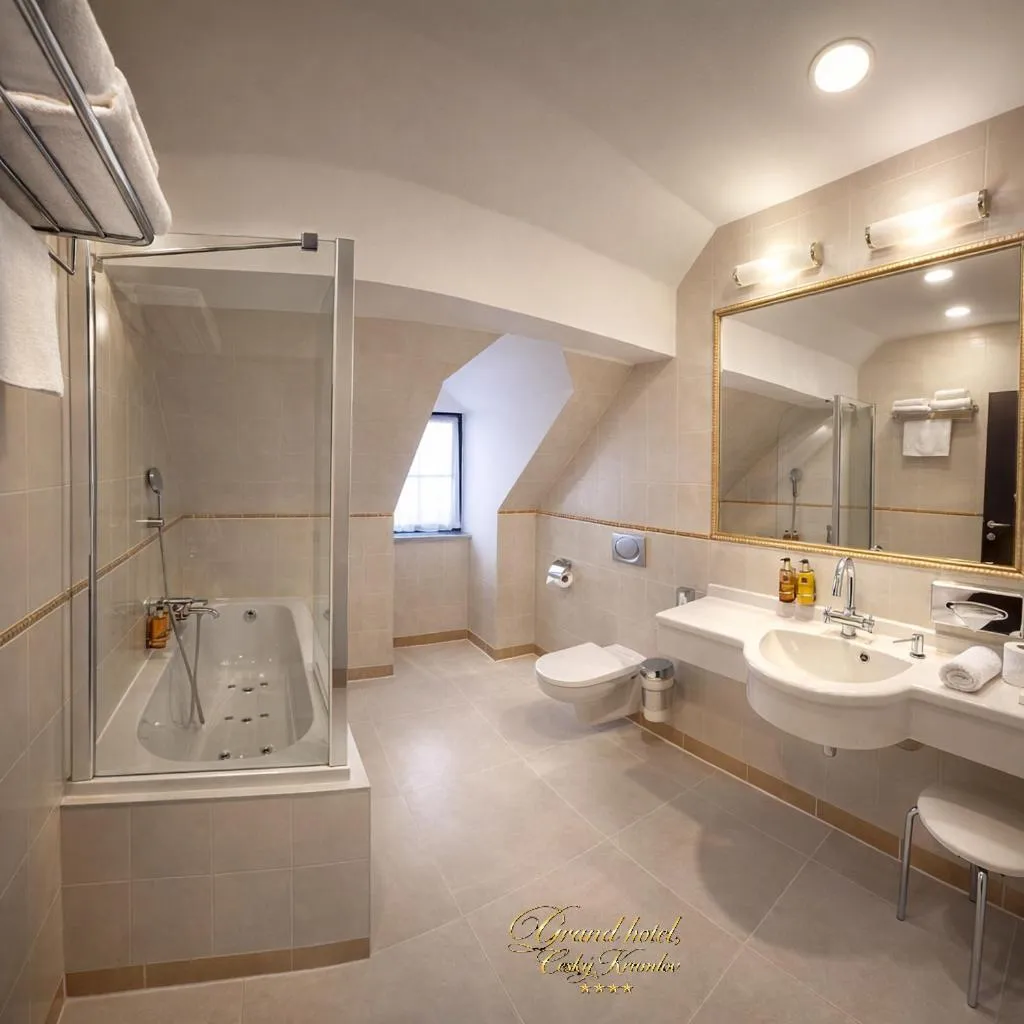 Toilet in Hotel Grand