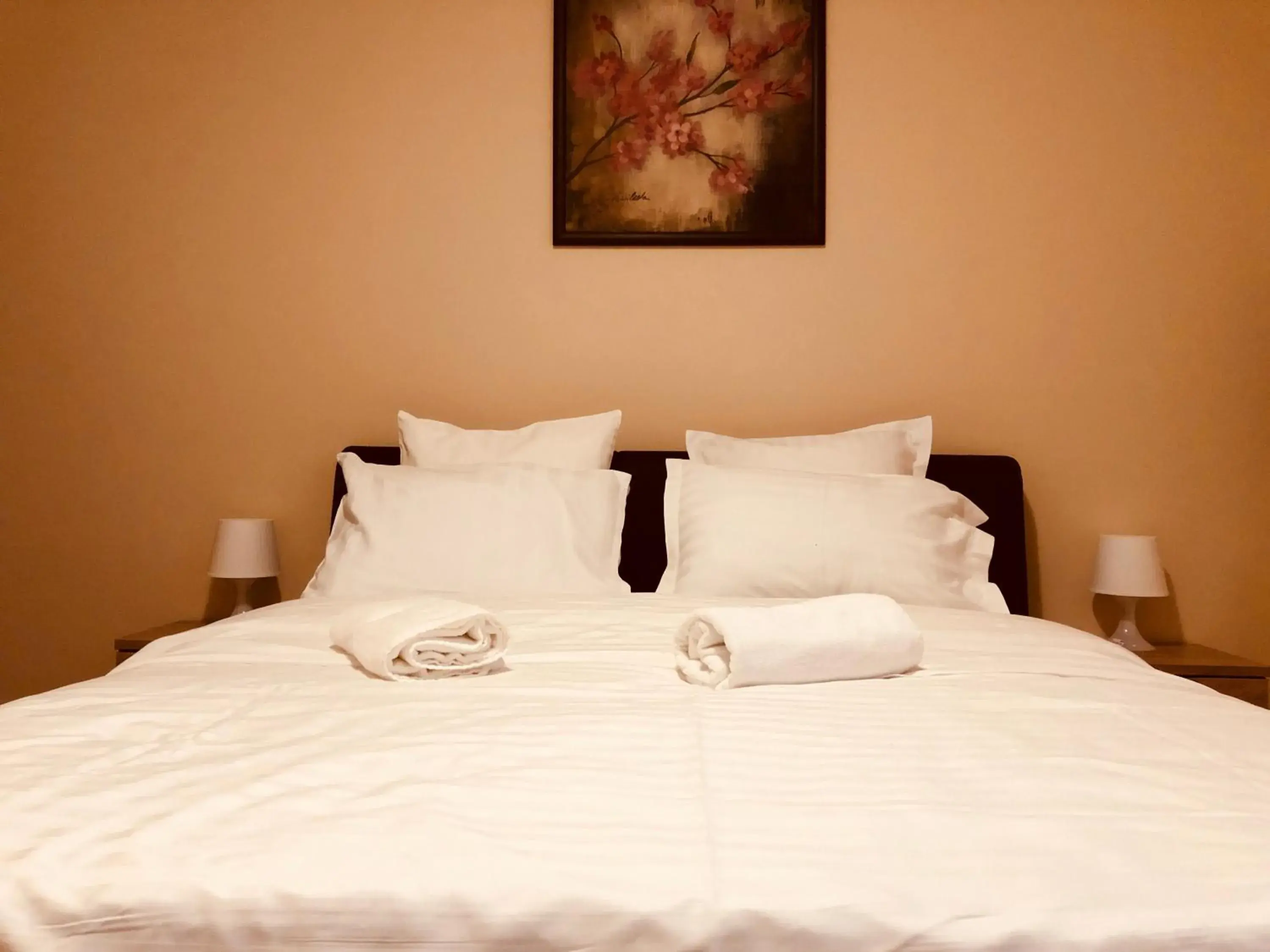 Double Room with Shared Bathroom - single occupancy in Monte Carlo Palace Rooms Double Room with Shared Bathroom - single occupancy in Monte Carlo Palace Rooms