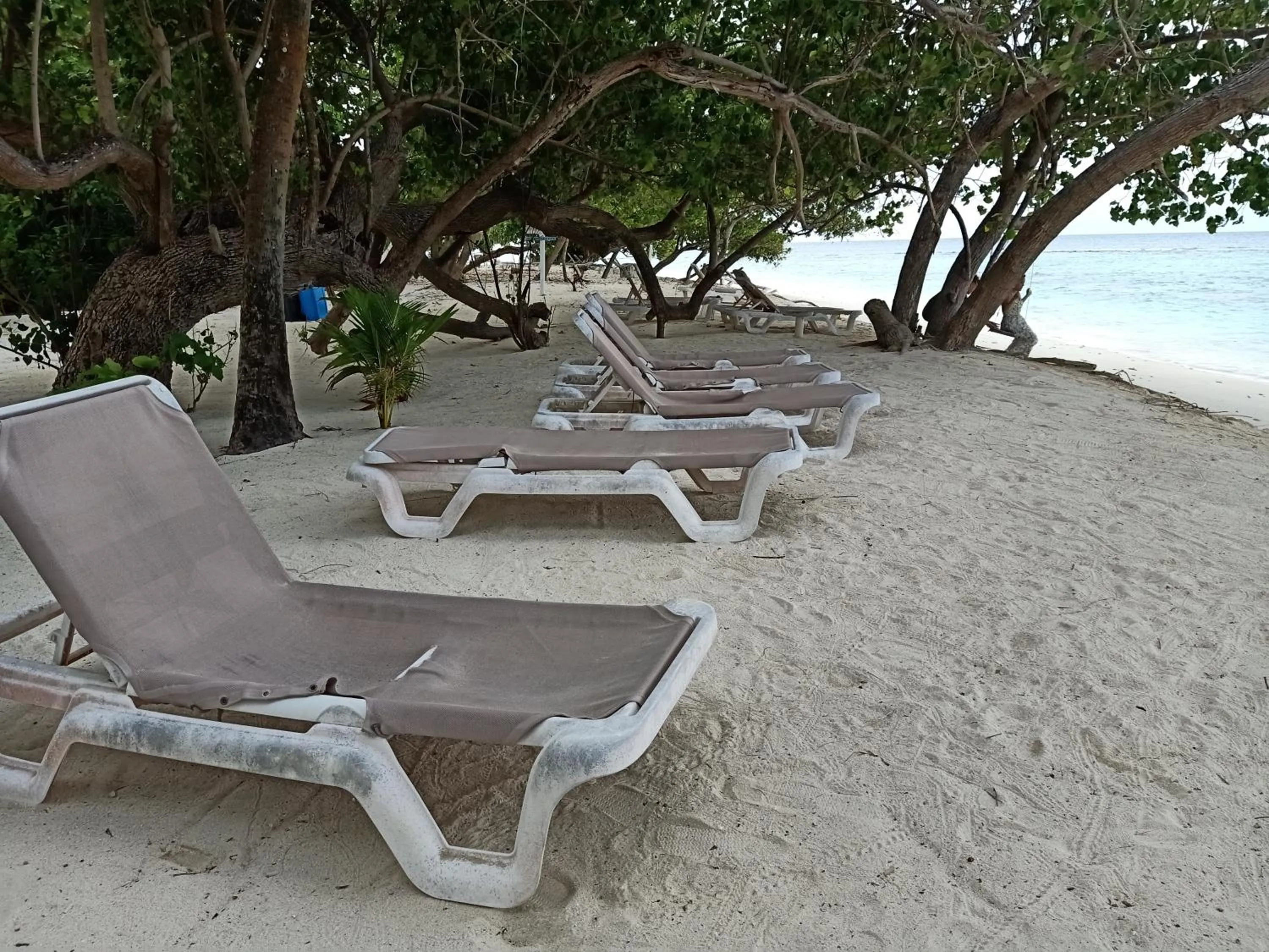 Beach in Fins Dive and Leisure Hotel