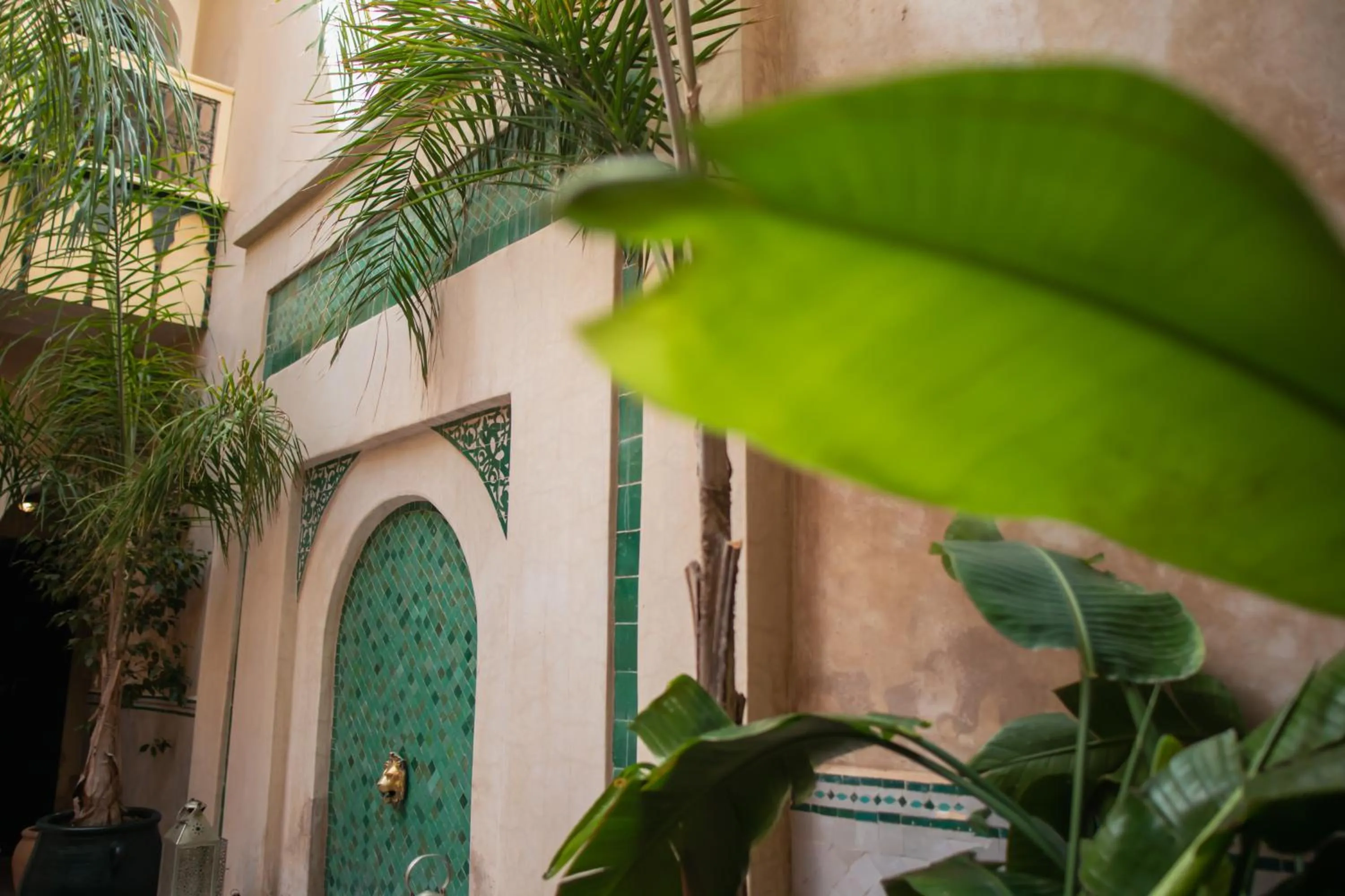 Balcony/Terrace in Riad Dar Habiba by Garden Wonders