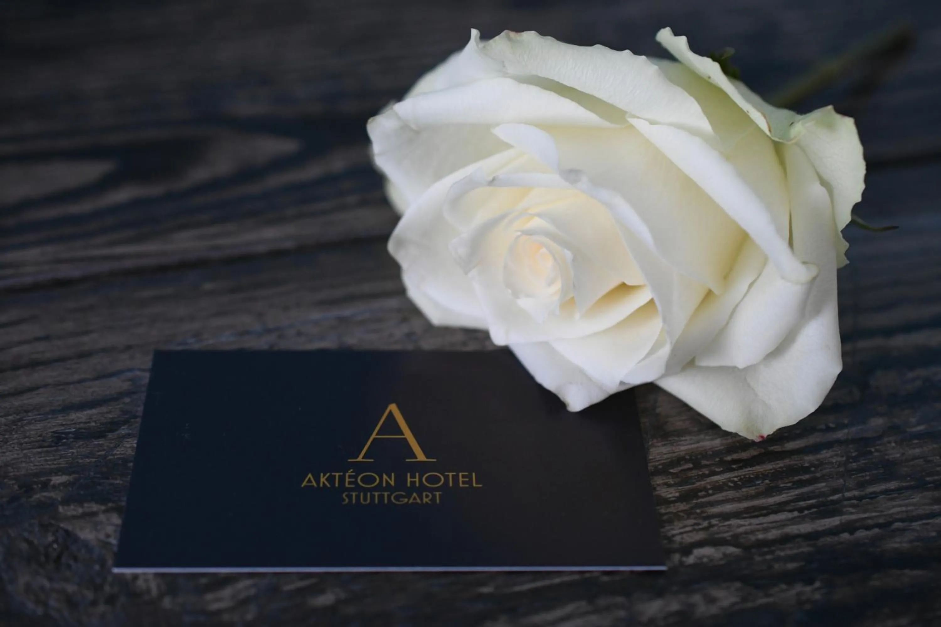 Logo/Certificate/Sign in Akteon Hotel