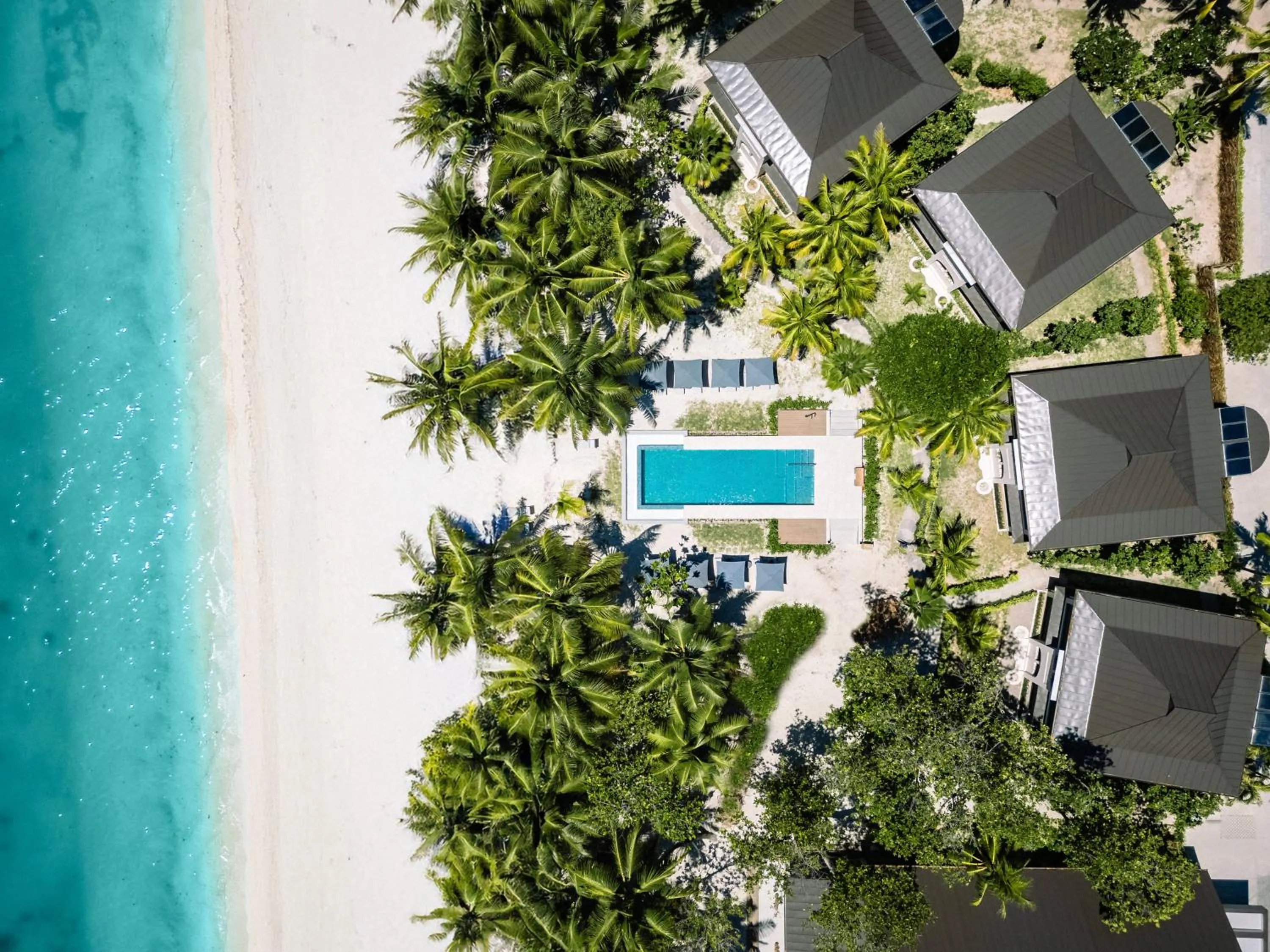 Pool view in Indian Ocean Lodge