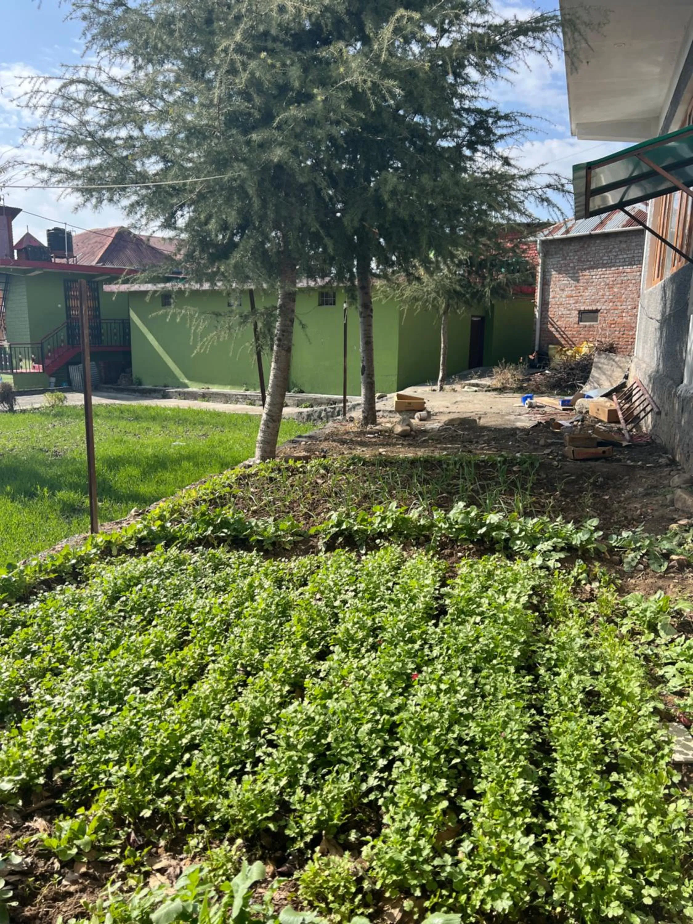 Natural landscape in Flyscape