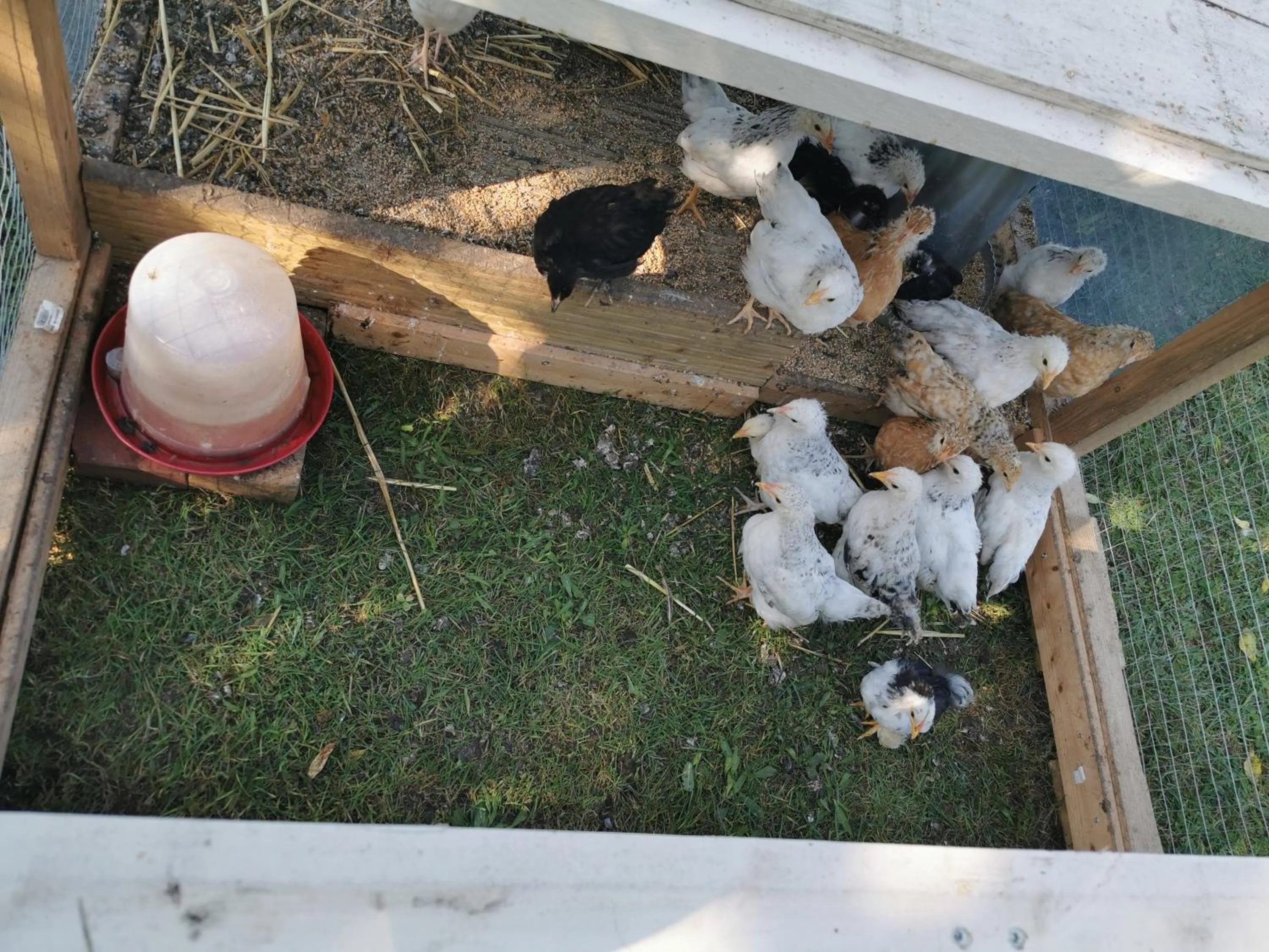 Bienvenue chez moi à Concevreux