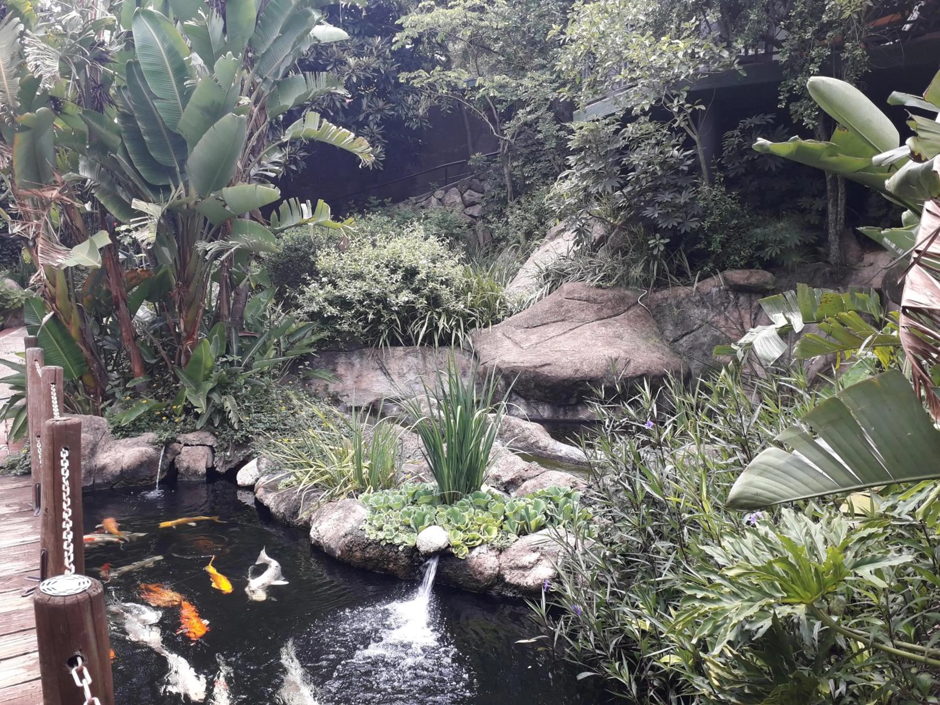 Garden in Jörn's Gästehaus