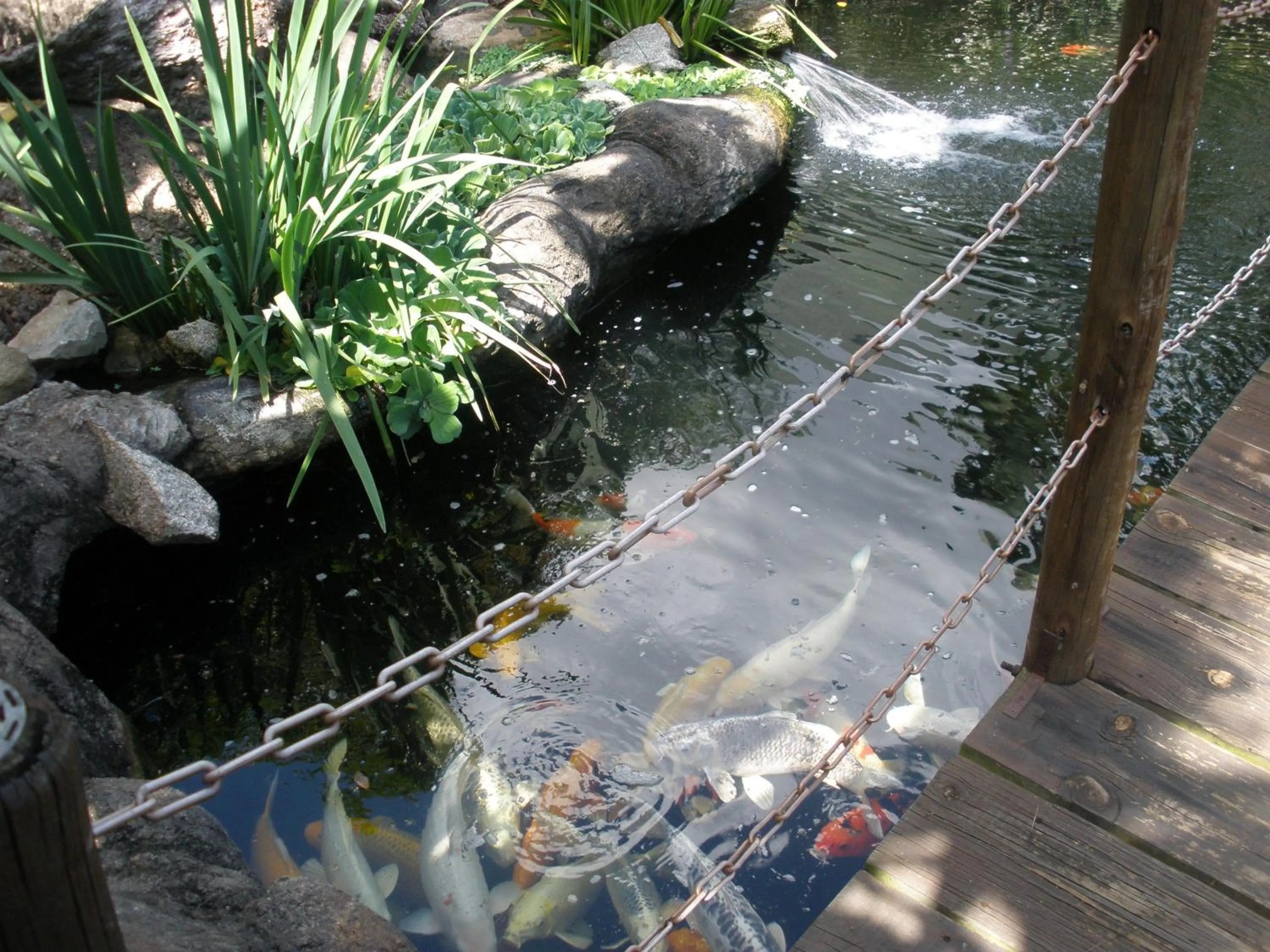 Garden in Jörn's Gästehaus