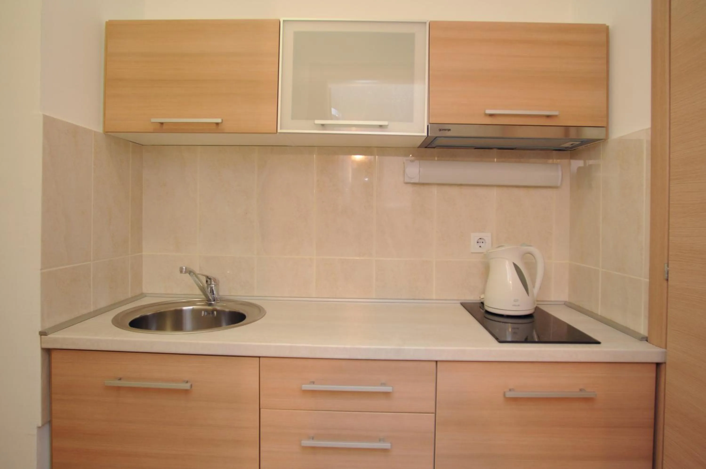 Kitchen or kitchenette in Hotel Anita