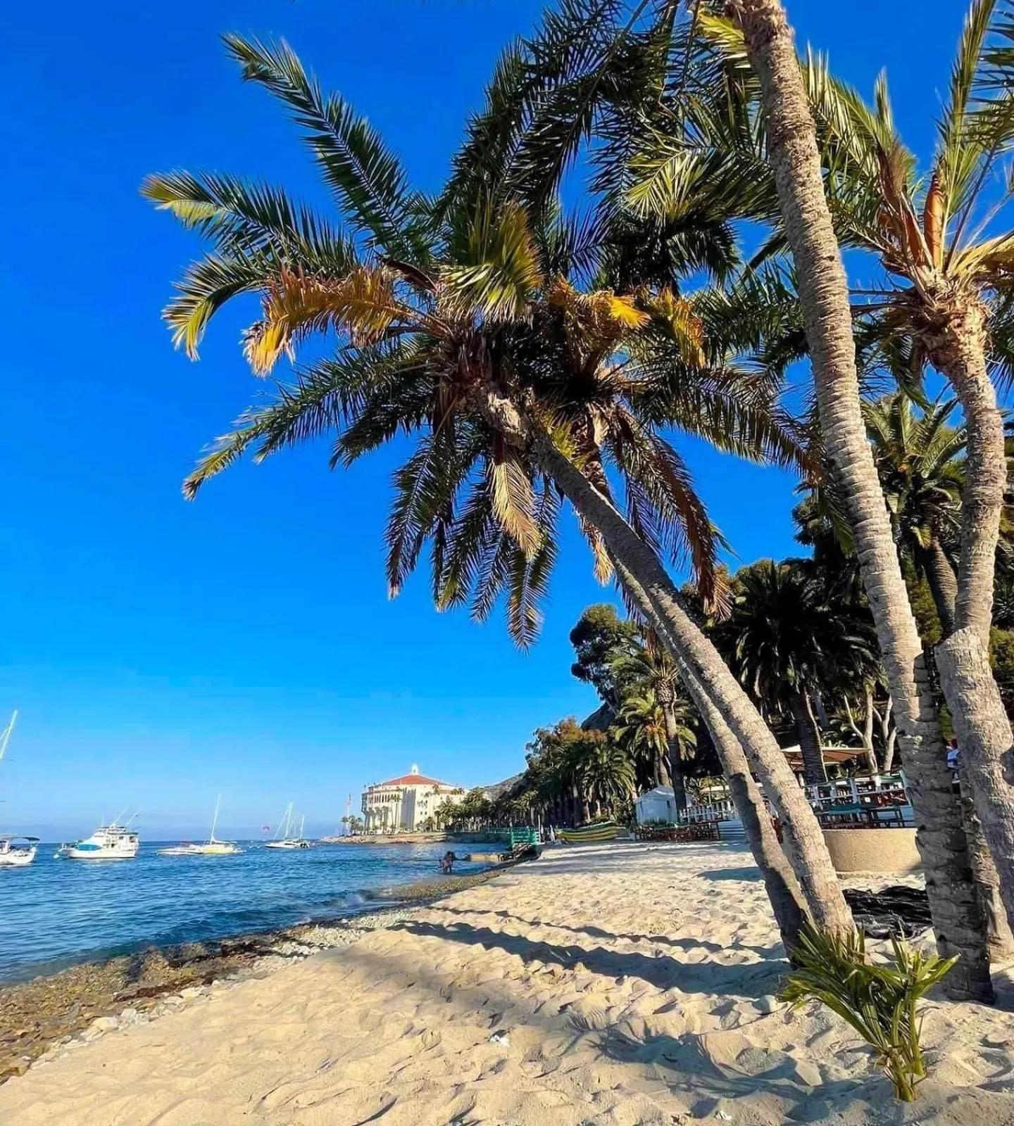 Beach in Oceanfront villa w One of a kind Amazing View