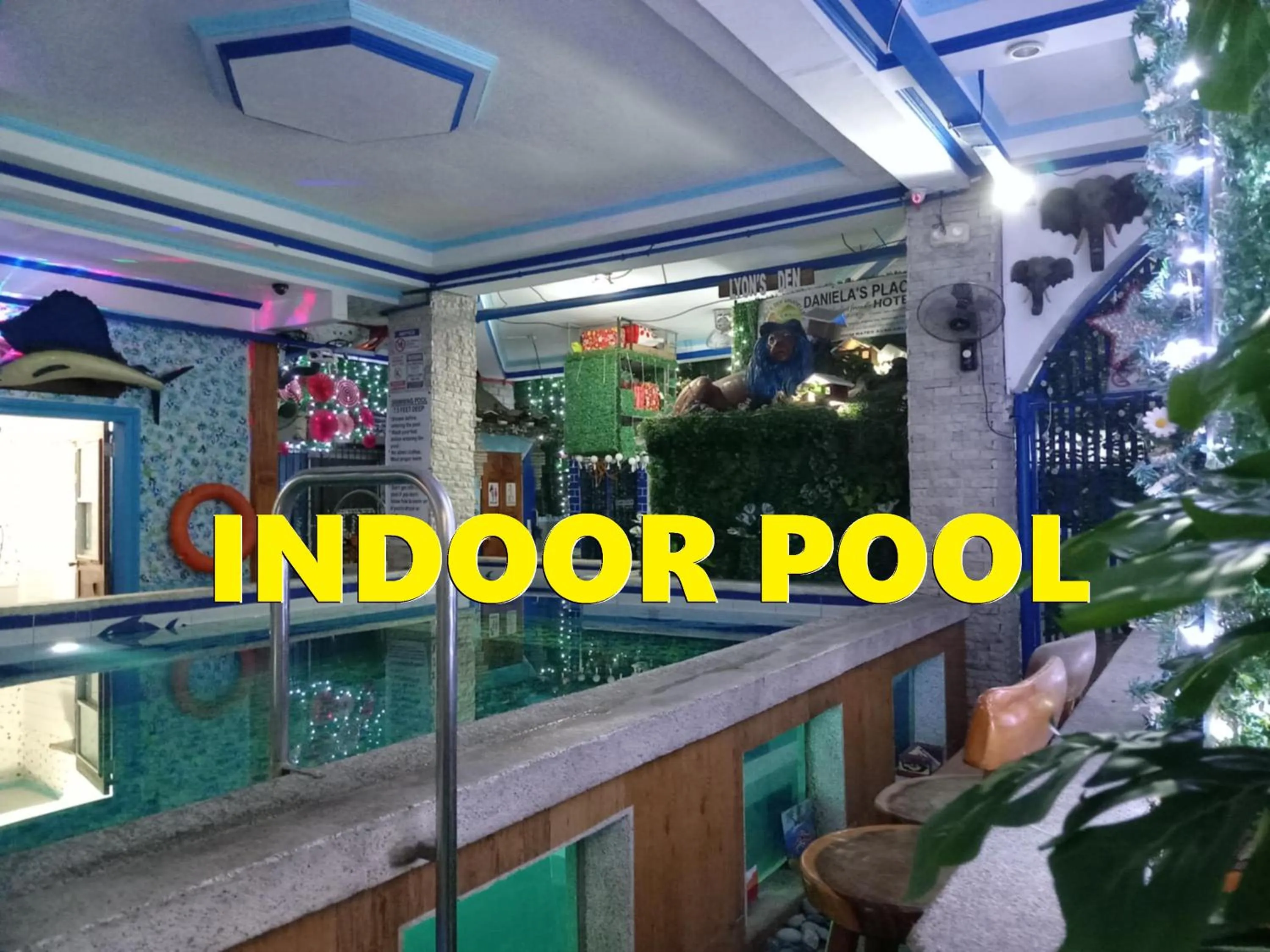 Swimming pool in Daniela's Place