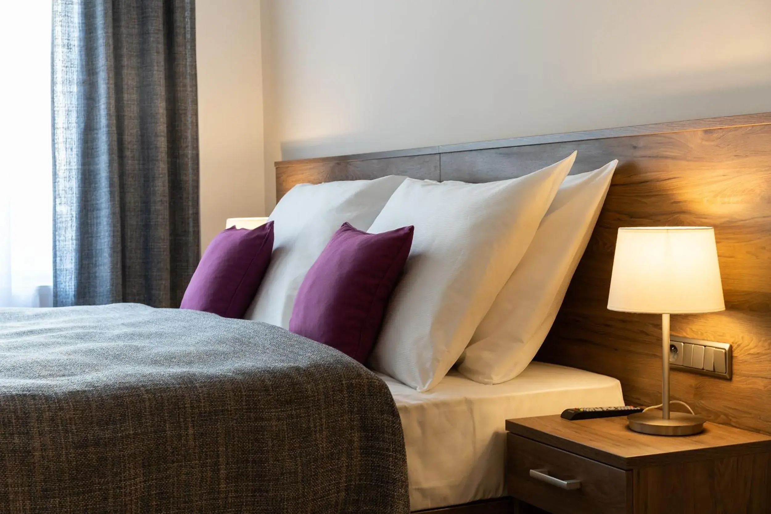 Deluxe Junior Suite in Hotel Melantrich Old Town Deluxe Junior Suite in Hotel Melantrich Old Town