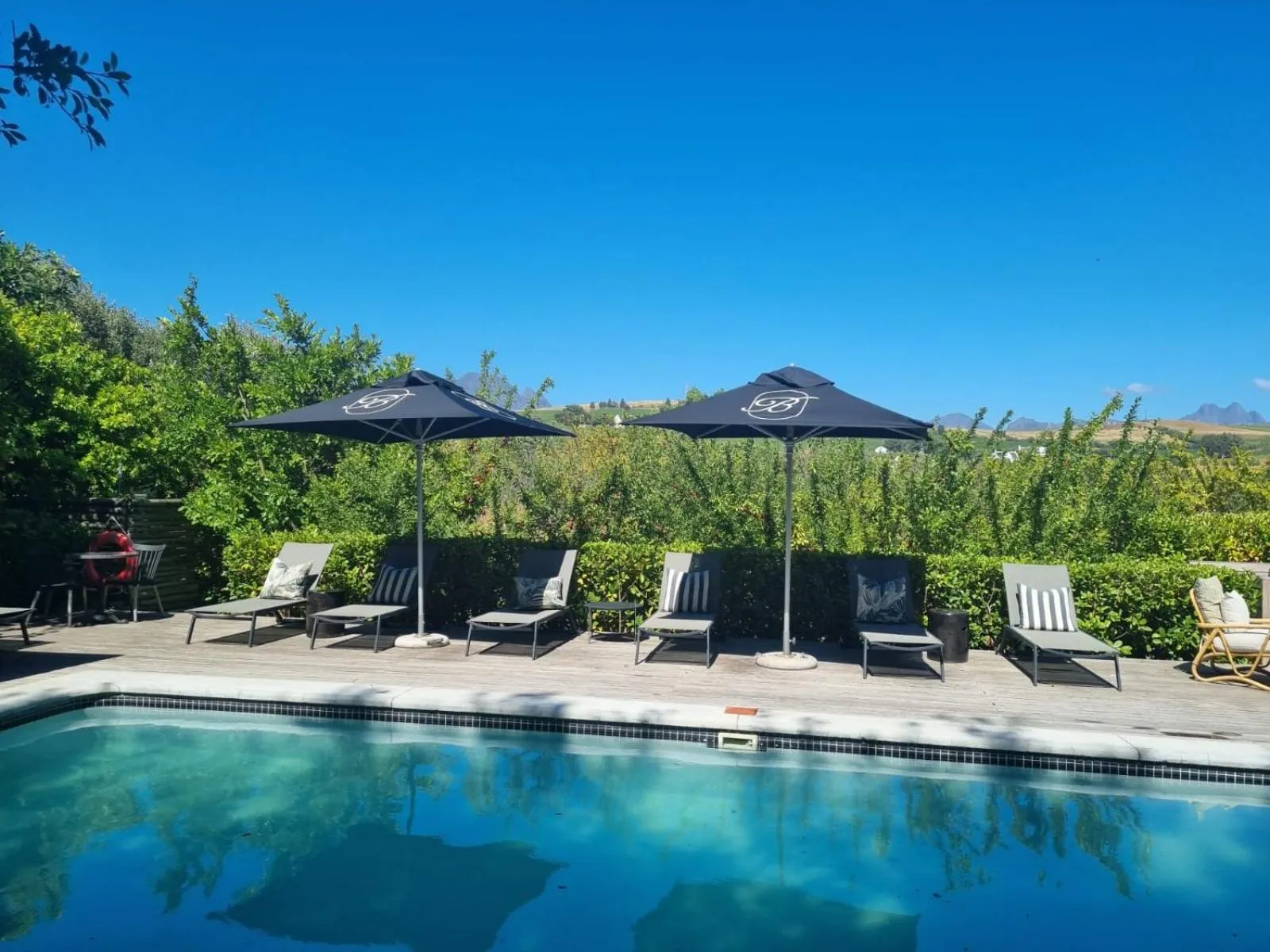 Swimming pool in Brenaissance Wine & Stud Estate