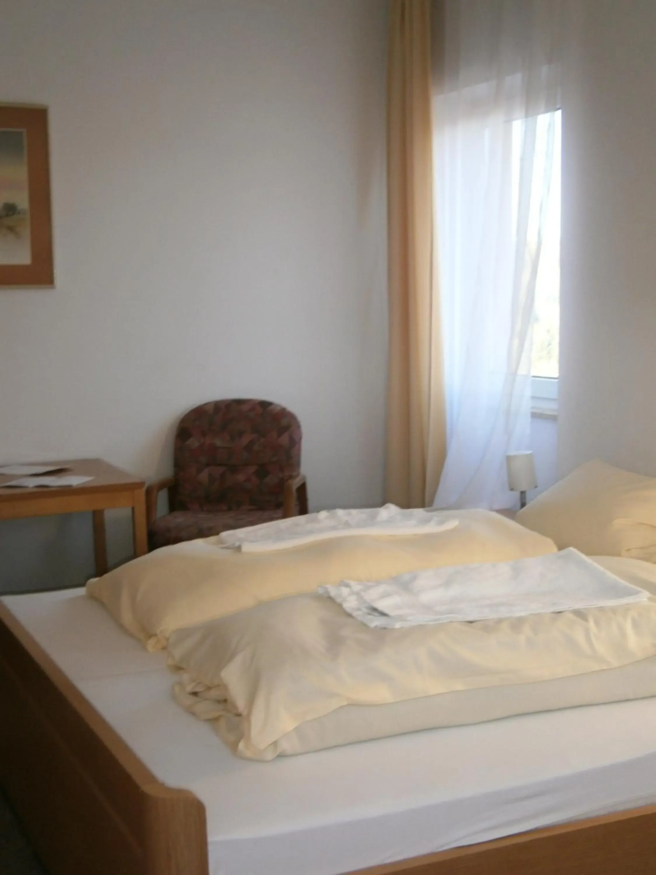 Triple Room with Shower - single occupancy in Hotel Strauss Triple Room with Shower - single occupancy in Hotel Strauss