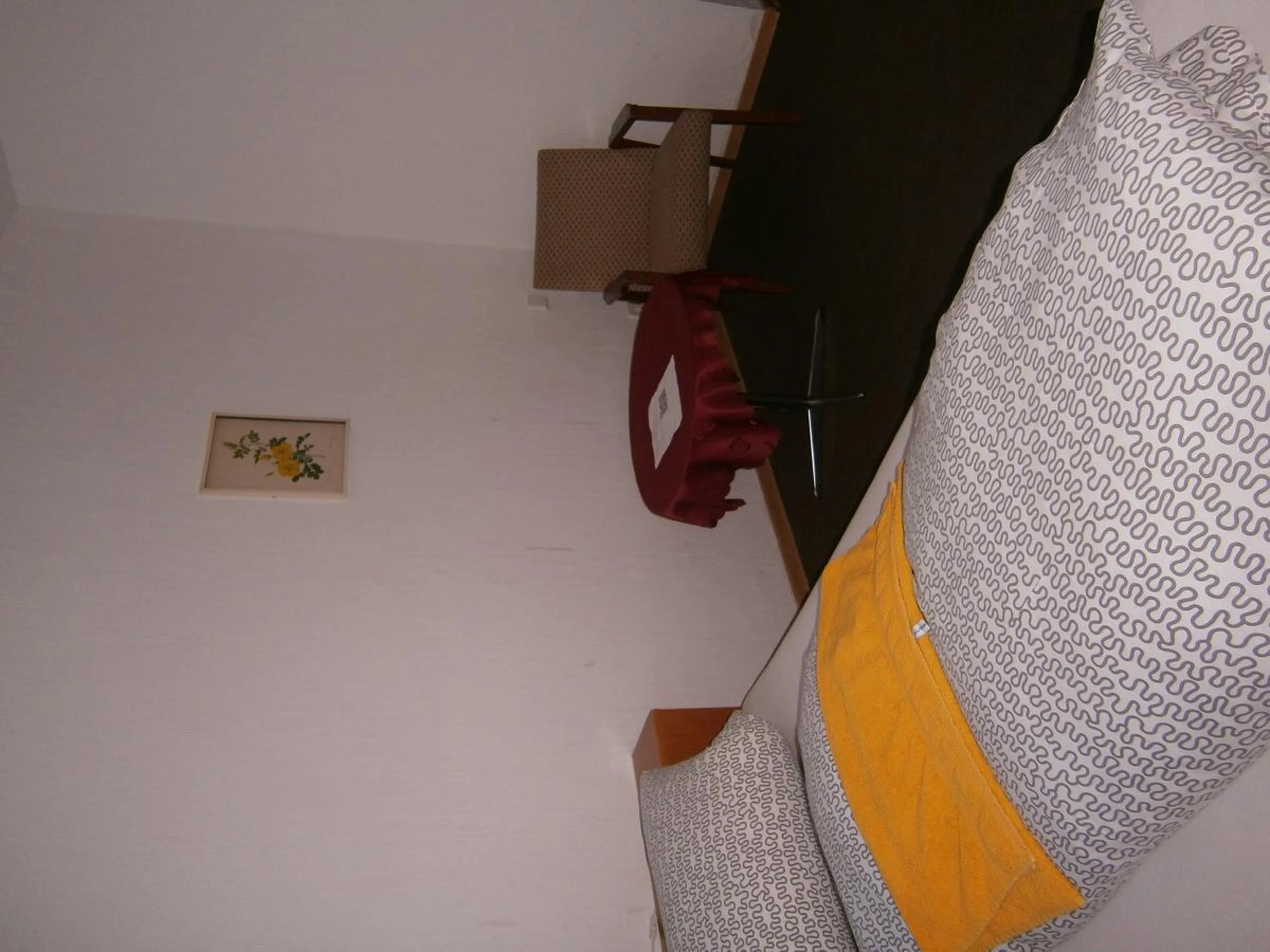 Photo of the whole room in Hotel Strauss