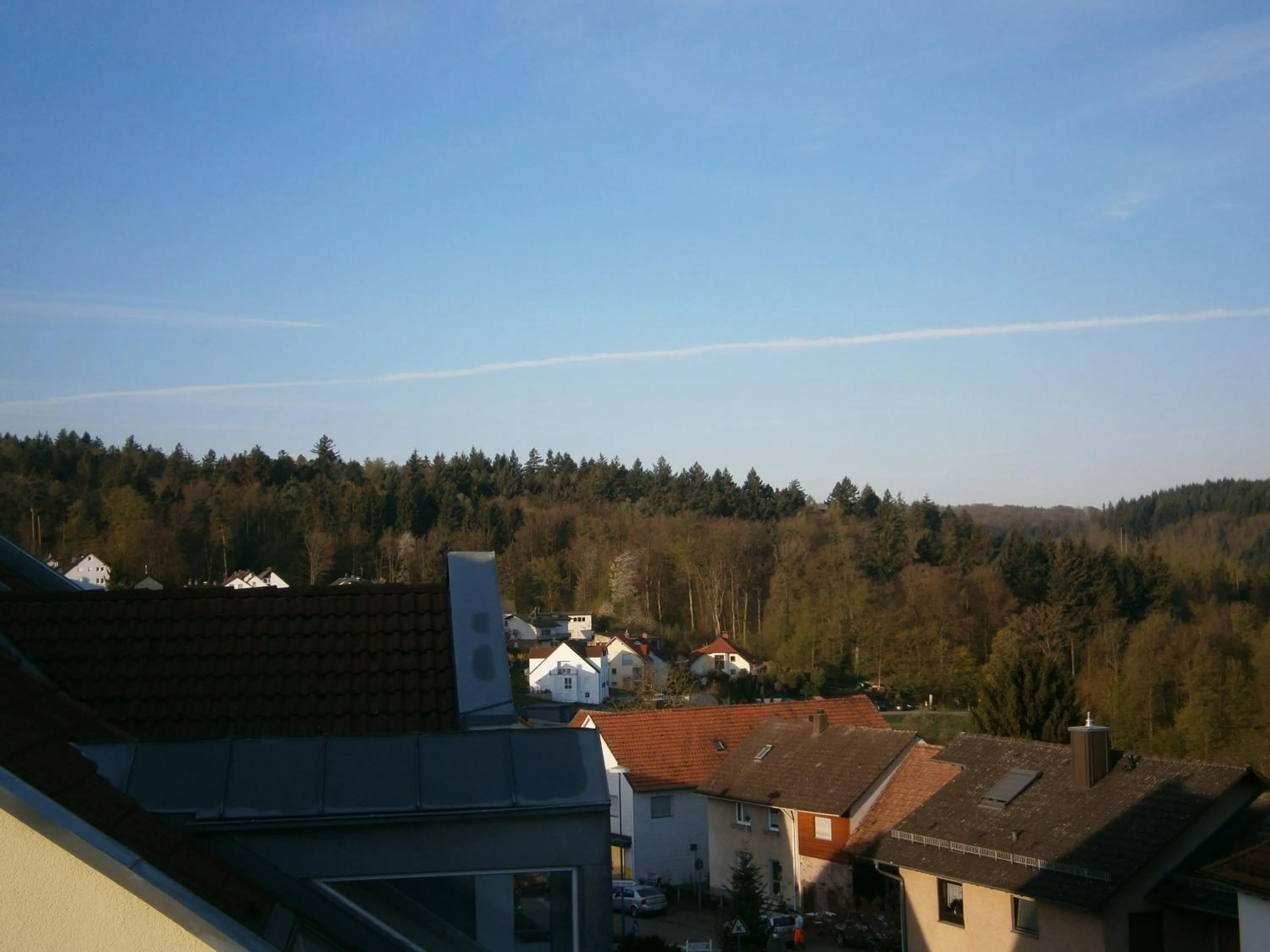 Natural landscape in Hotel Strauss