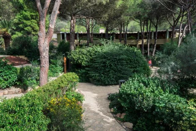 Spring in Abbaechelu