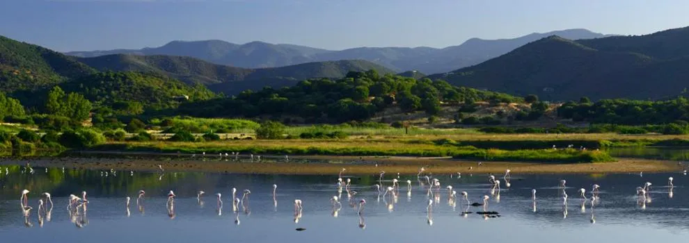 Nearby landmark in Abbaechelu