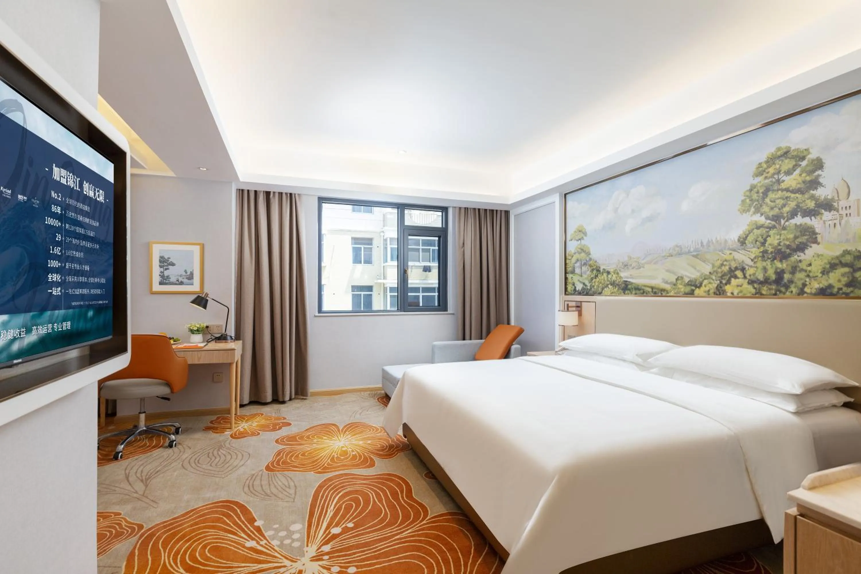 Photo of the whole room in Vienna Hotel