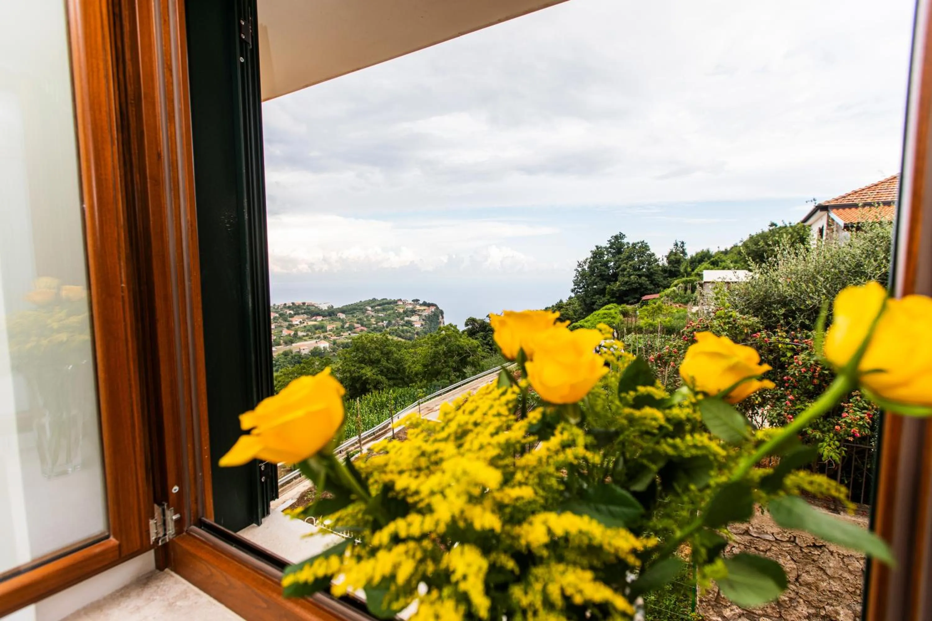 Garden view in Panariello Palace