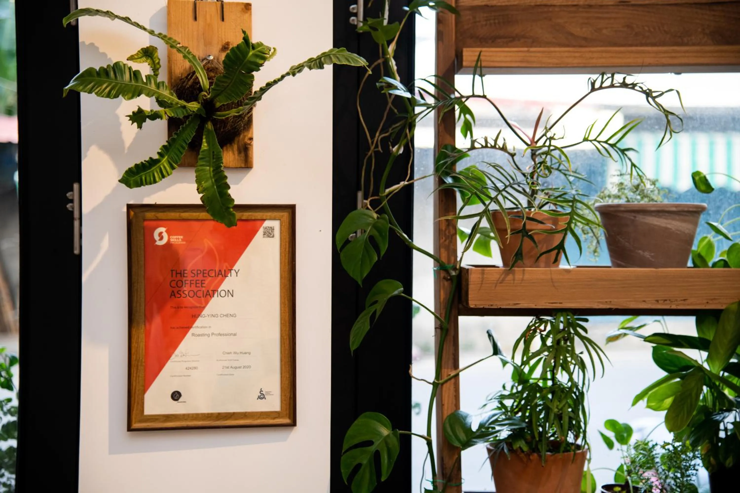 Logo/Certificate/Sign in Lixia Hostel