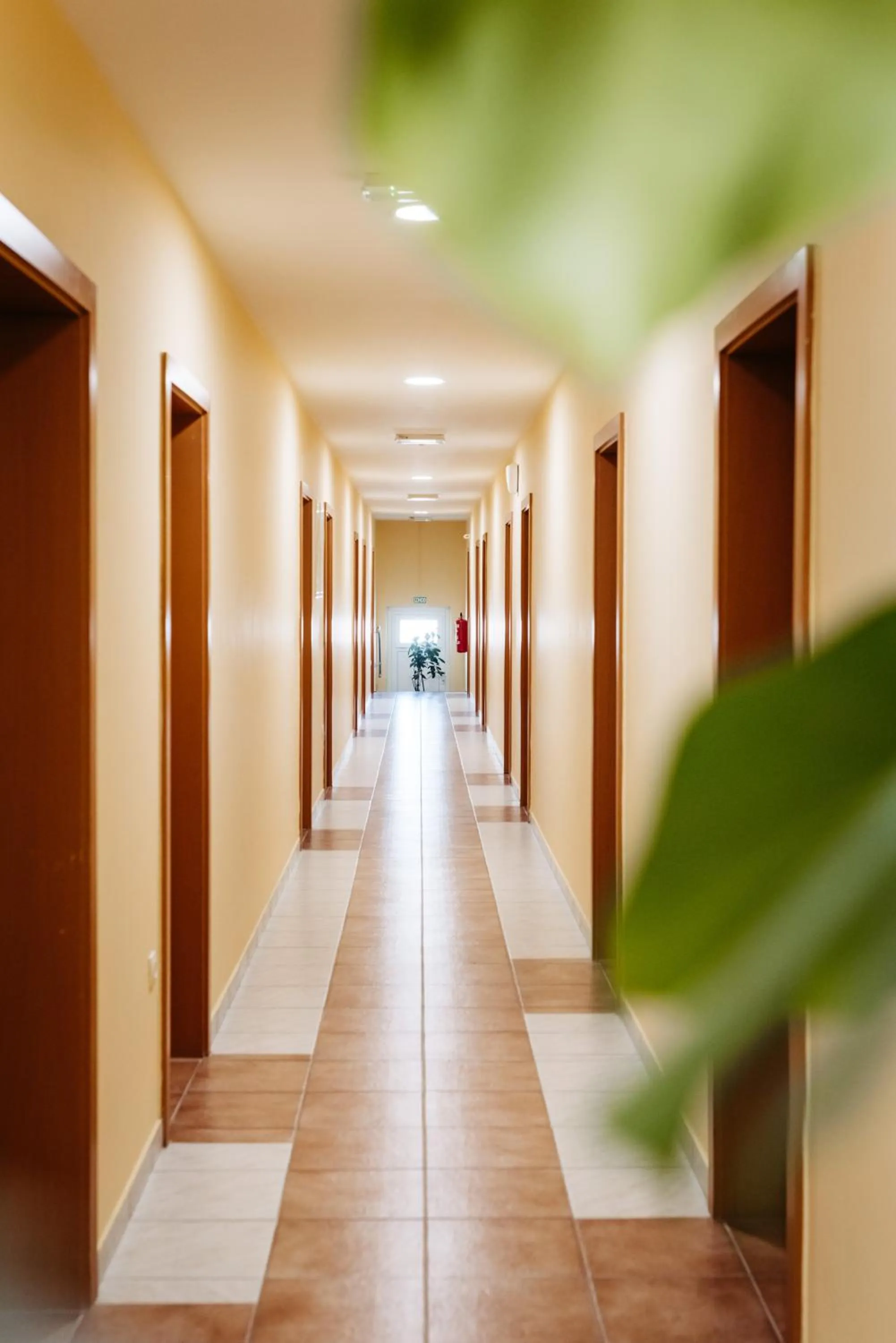 Property building in Hotel Murat