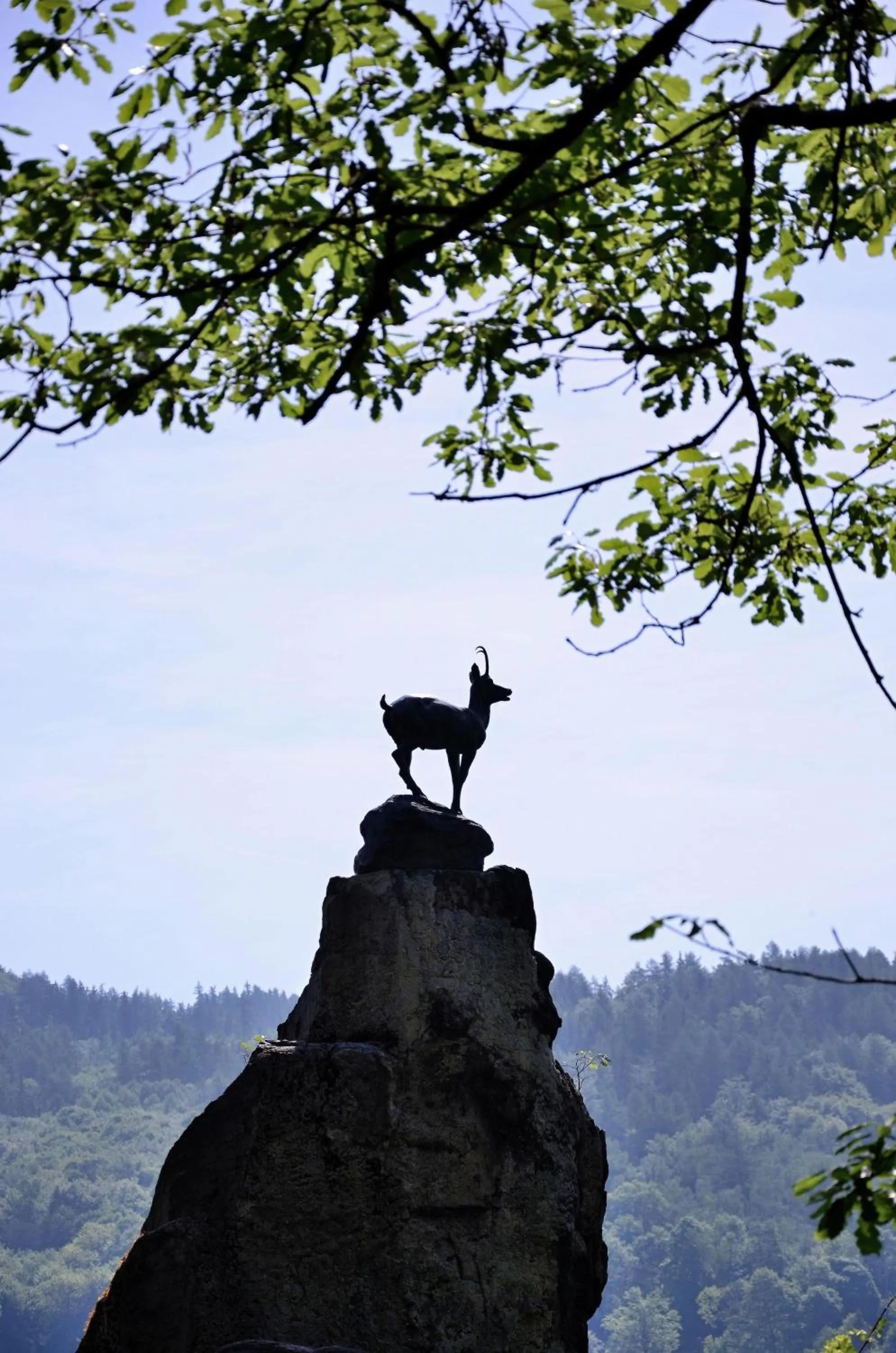 Other in Hotel Boston