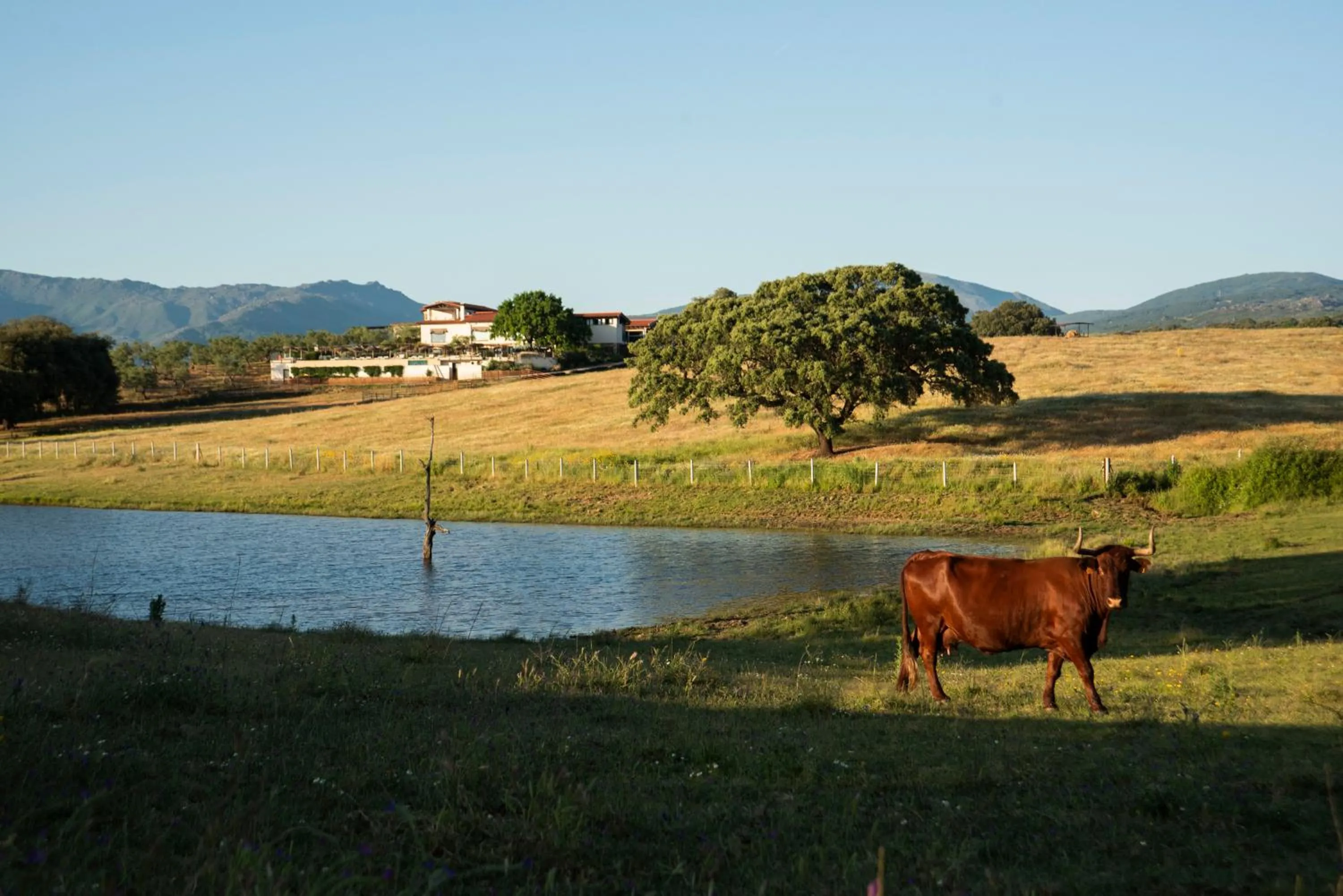Off site in Hábitat Cigüeña Negra