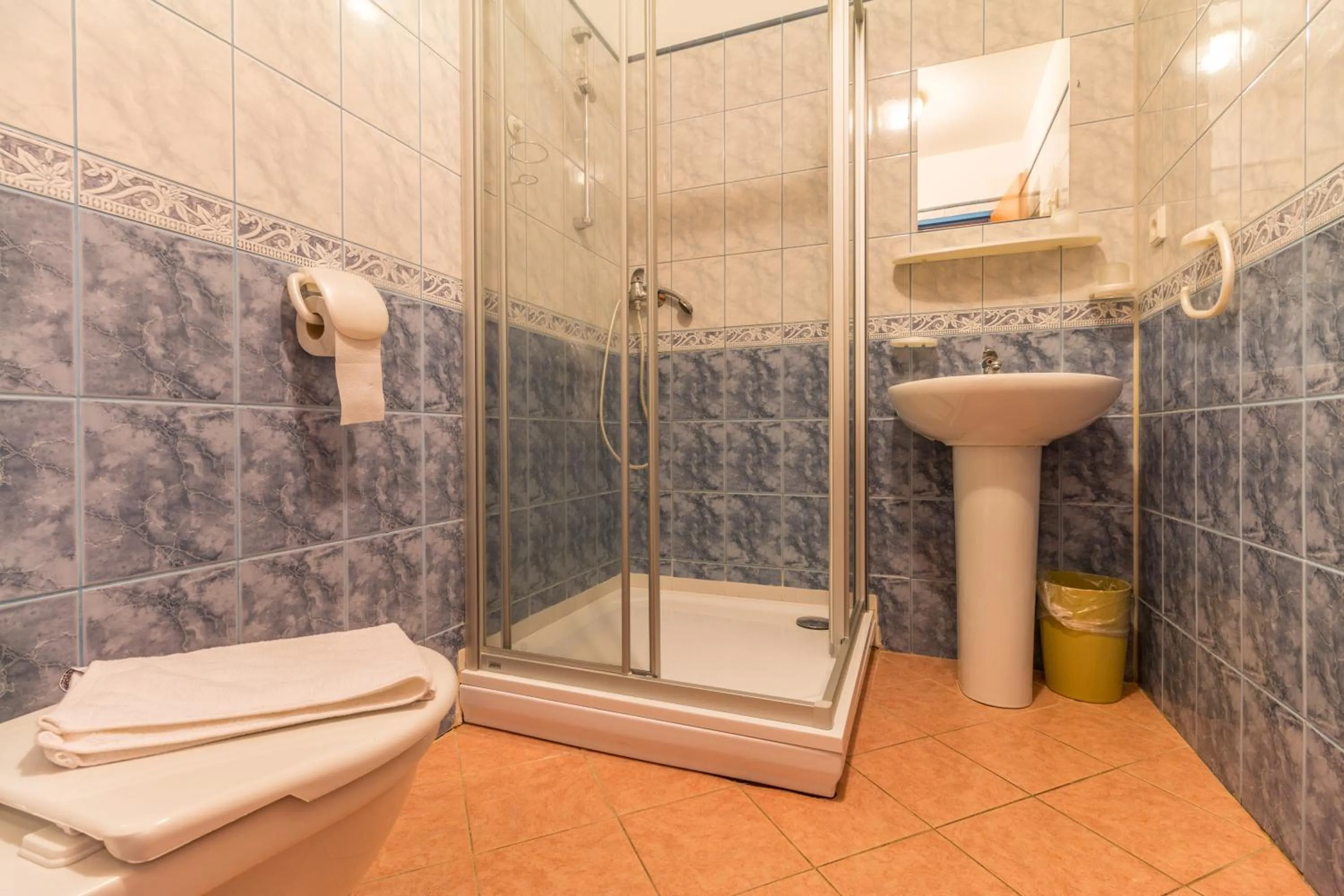 Bathroom in Hotel Franz