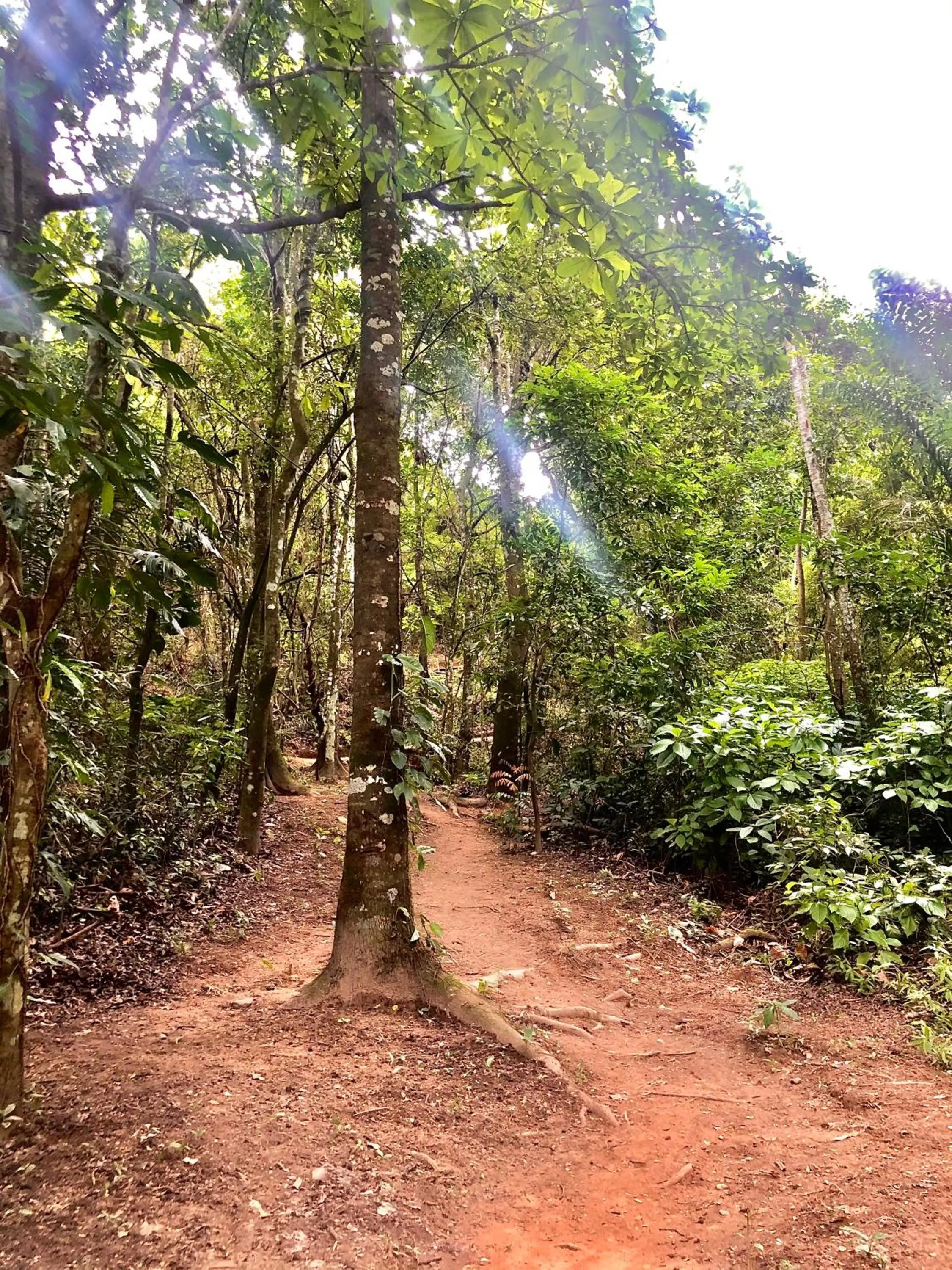 Property building in Hotel Minca - La Casona