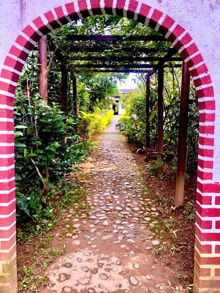 Property building in Hotel Minca - La Casona