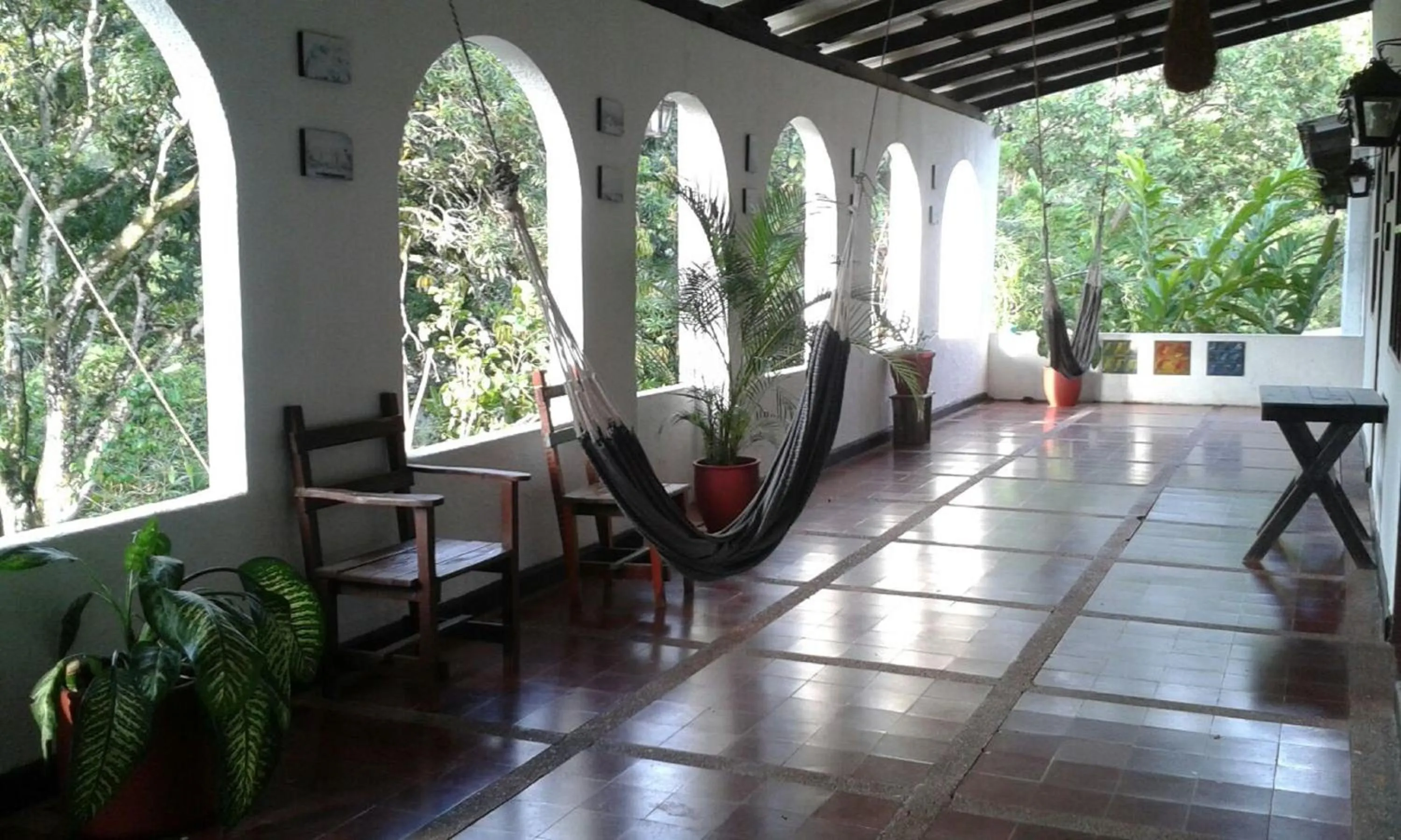 Garden view in Hotel Minca - La Casona