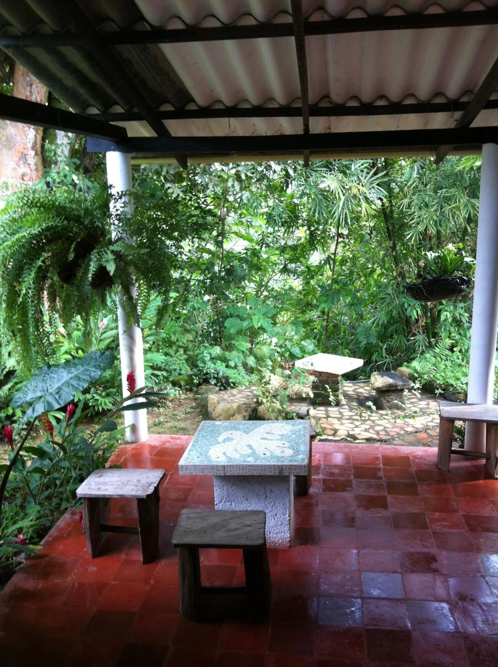 Natural landscape in Hotel Minca - La Casona