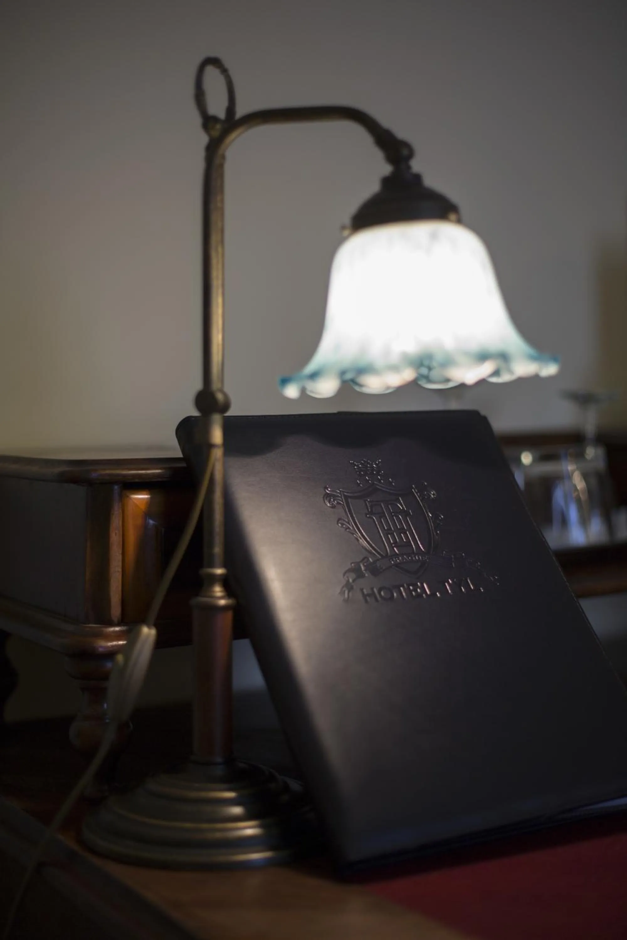 Property logo or sign in Hotel Tyl