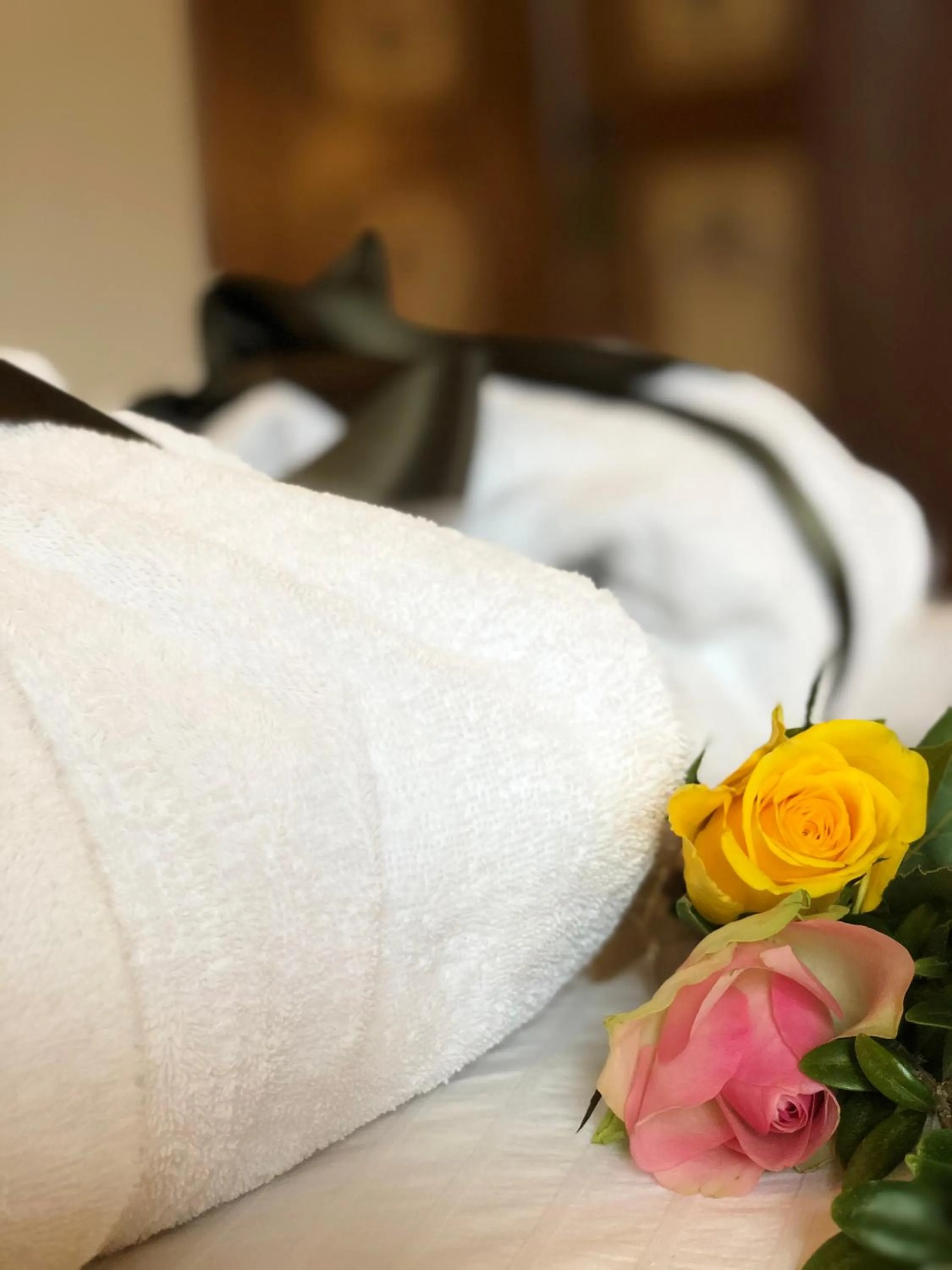 Decorative detail in La Cantina Relais - Fattoria Il Cipresso