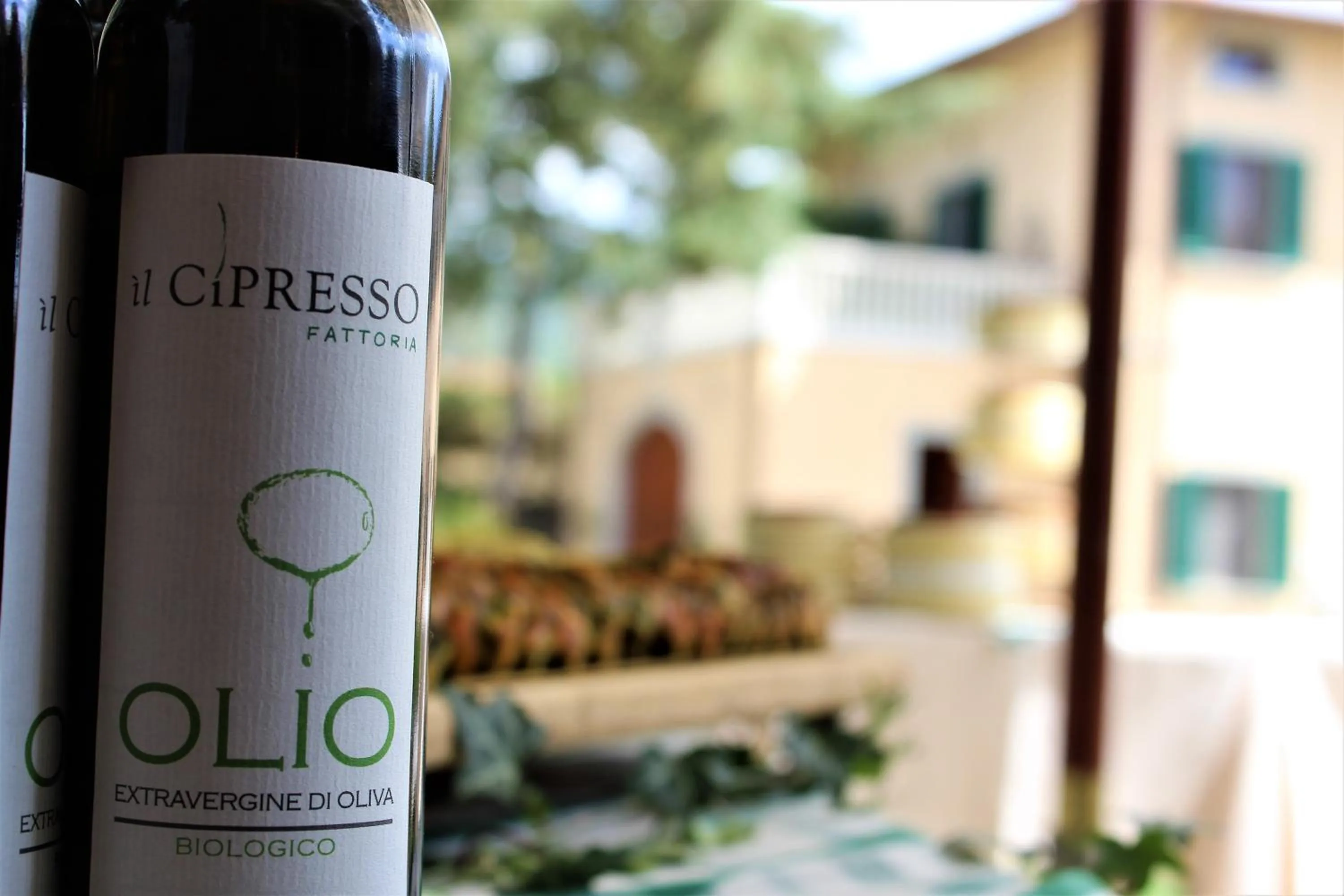 Food close-up in La Cantina Relais - Fattoria Il Cipresso